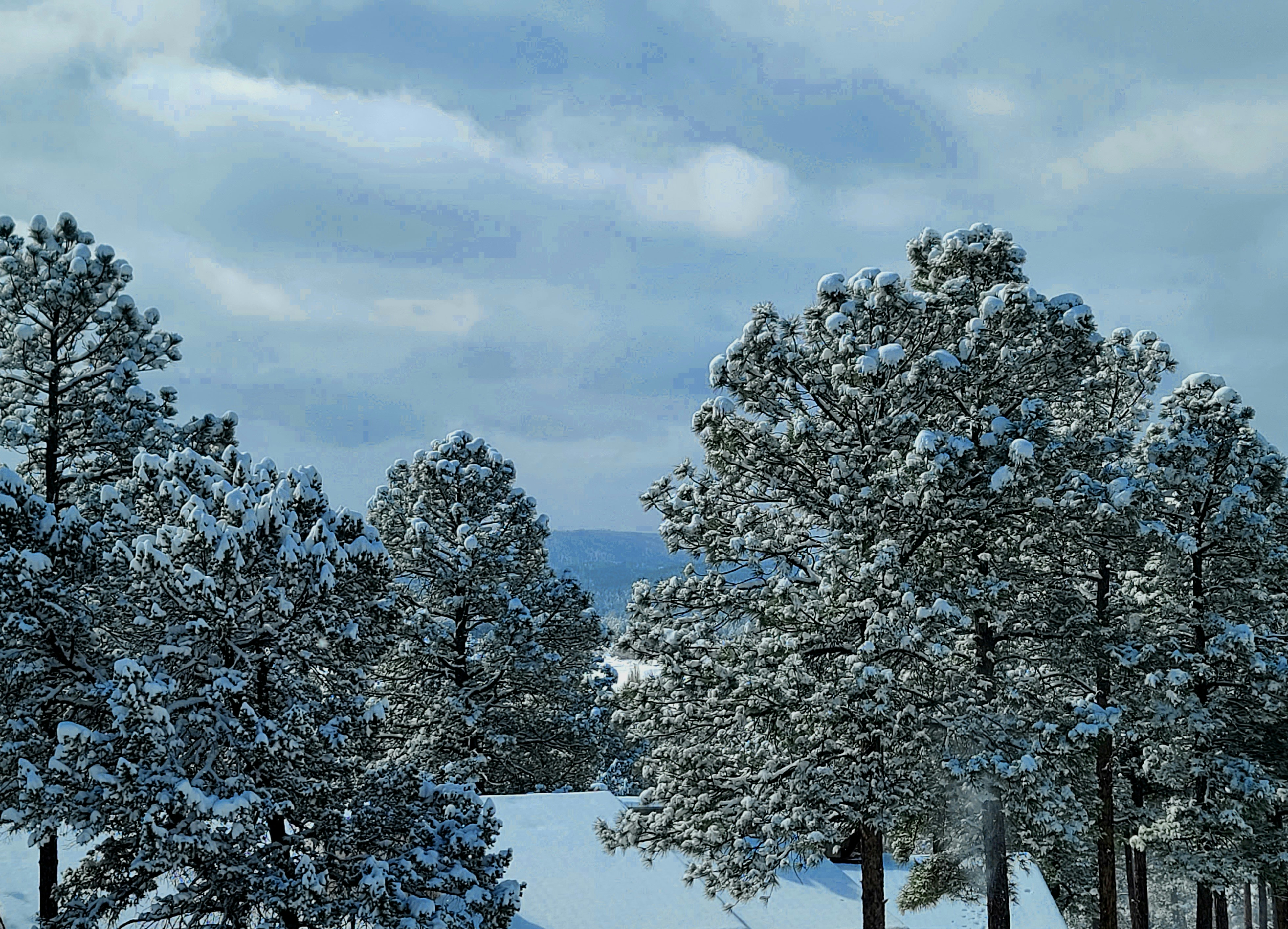 a snow covered field with trees in the foreground, Snow, courtesy of Winter Storm Quinlan, blankets Ruidoso, New Mexico.