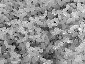 A close-up view of numerous grains of rice, capturing their smooth oval shapes and translucent texture. They appear stacked and scattered randomly across the frame.