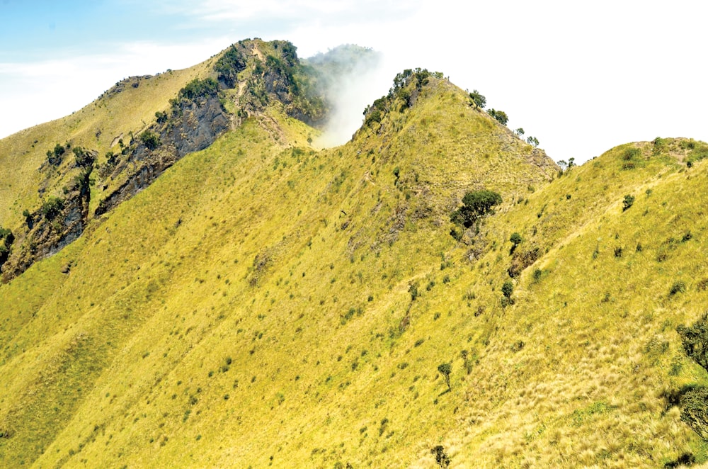 a very tall mountain covered in green grass