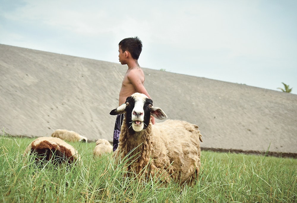Un jeune garçon debout à côté d’un mouton dans un champ
