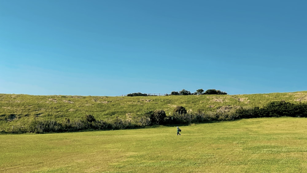 a person standing in a field flying a kite