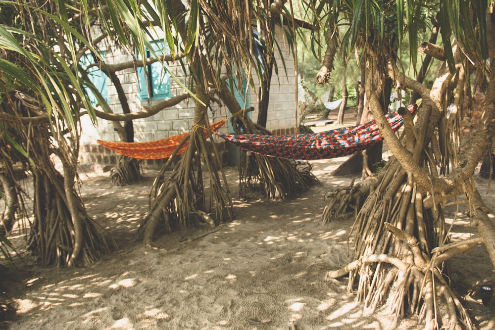 a hammock hanging between two palm trees