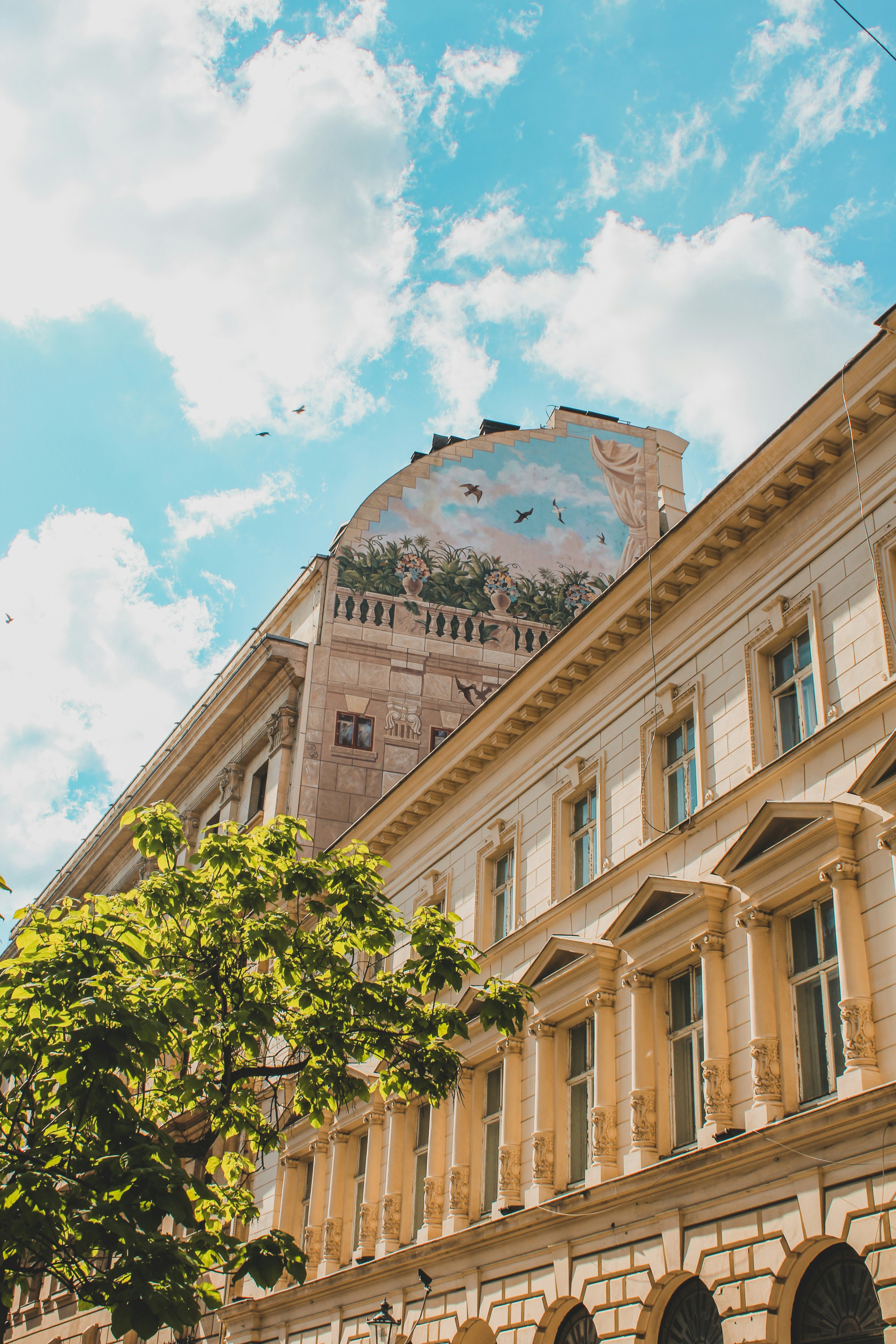 Photo by czapp_arpad