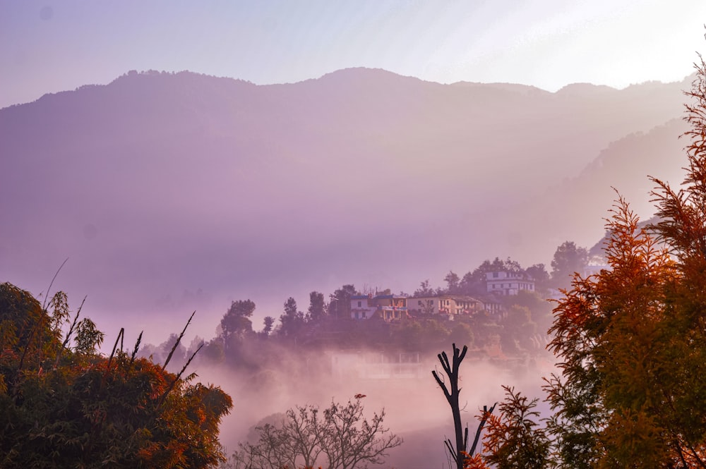 a foggy landscape with a house in the distance