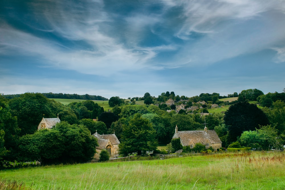 a lush green field filled with lots of trees