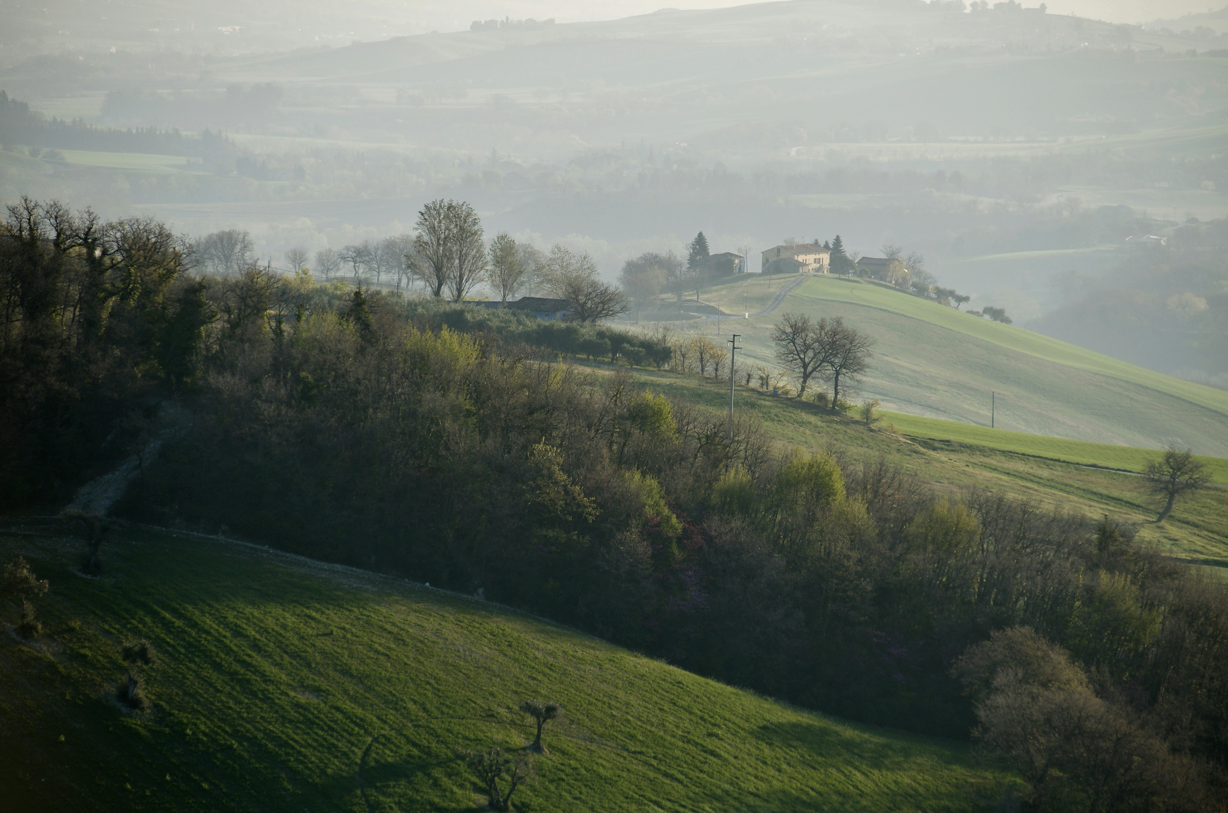 Photo by mariobeducci