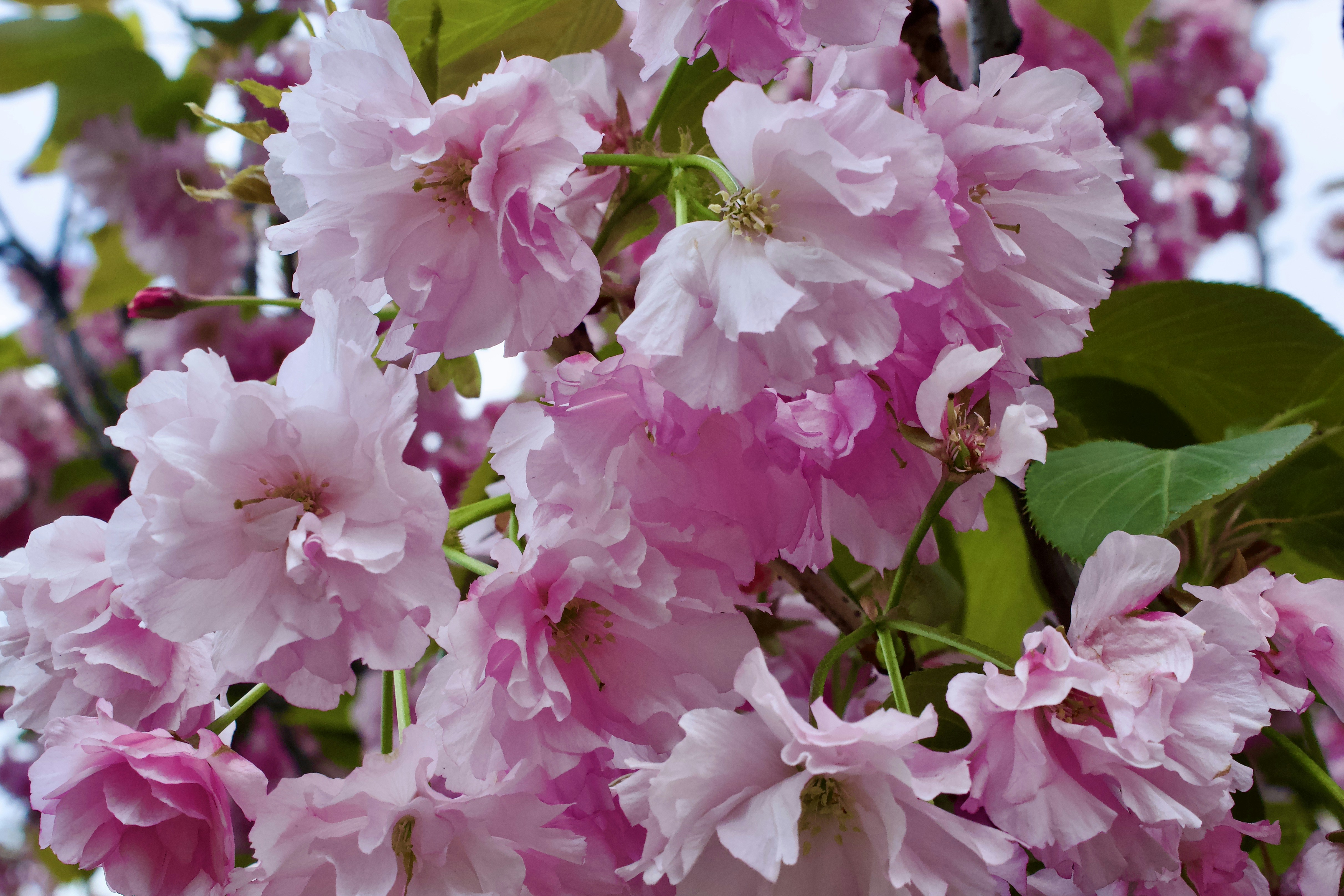 Photo by eleonoramir