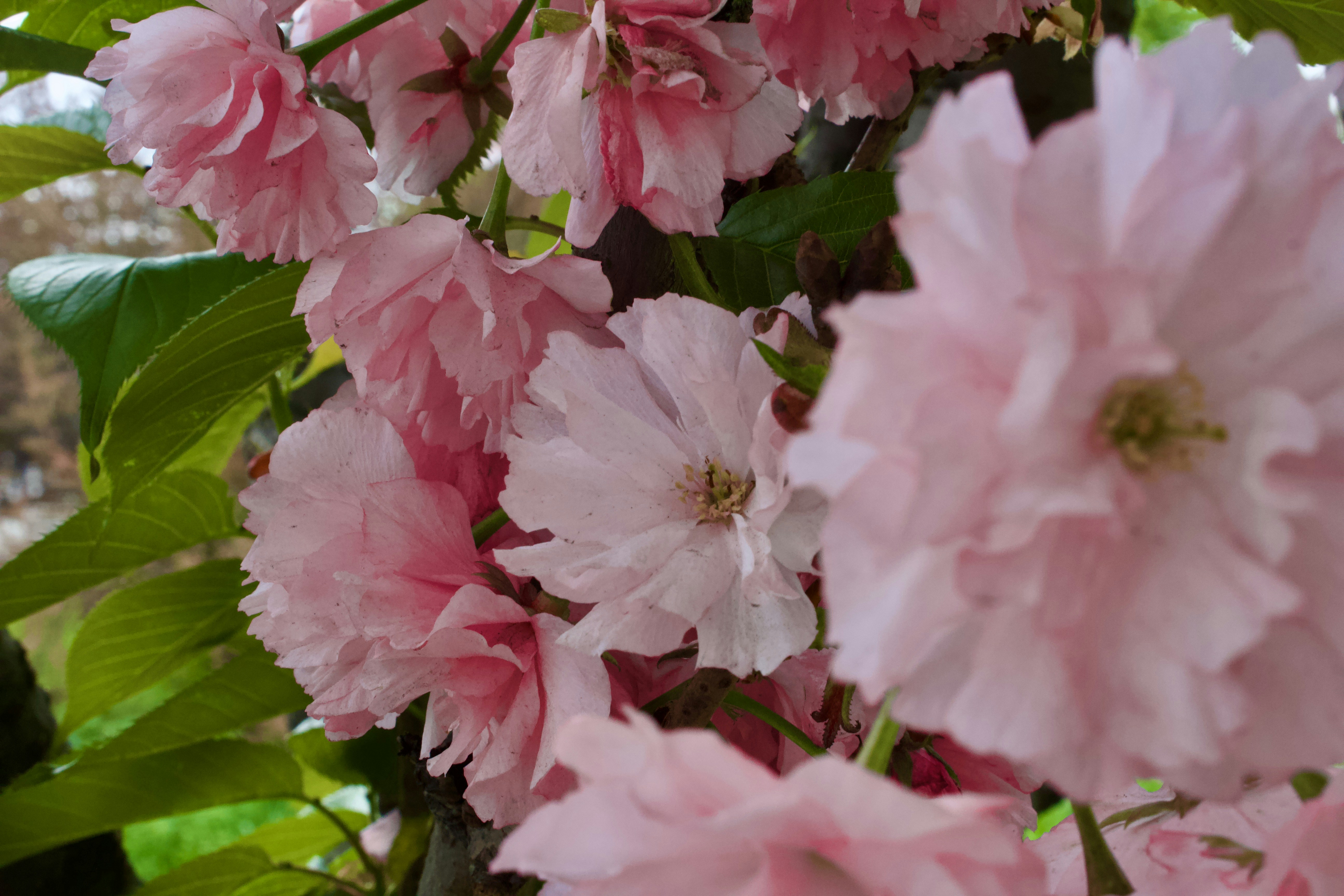 Photo by eleonoramir