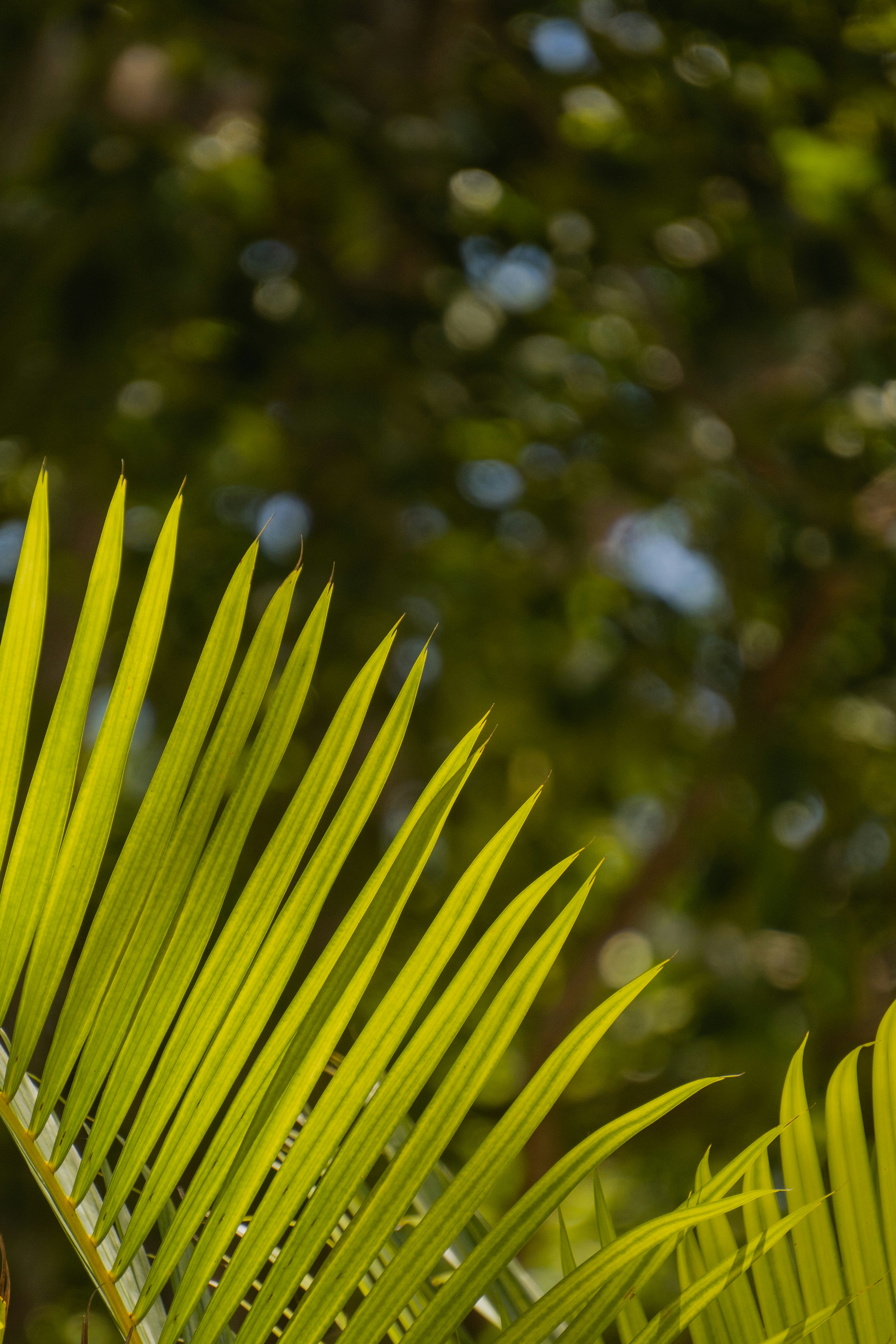 Photo by yanasantiago