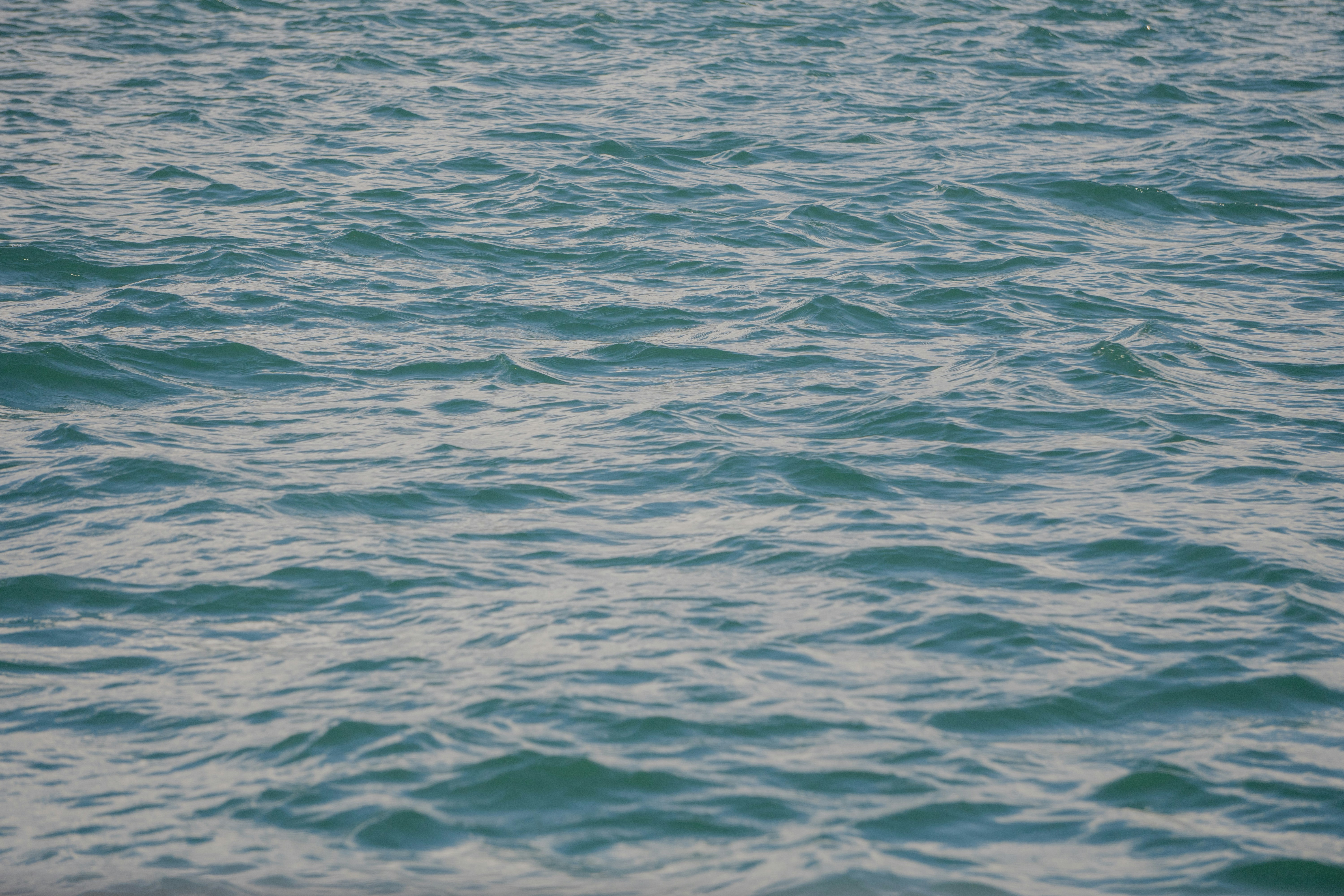 Photo by yanasantiago