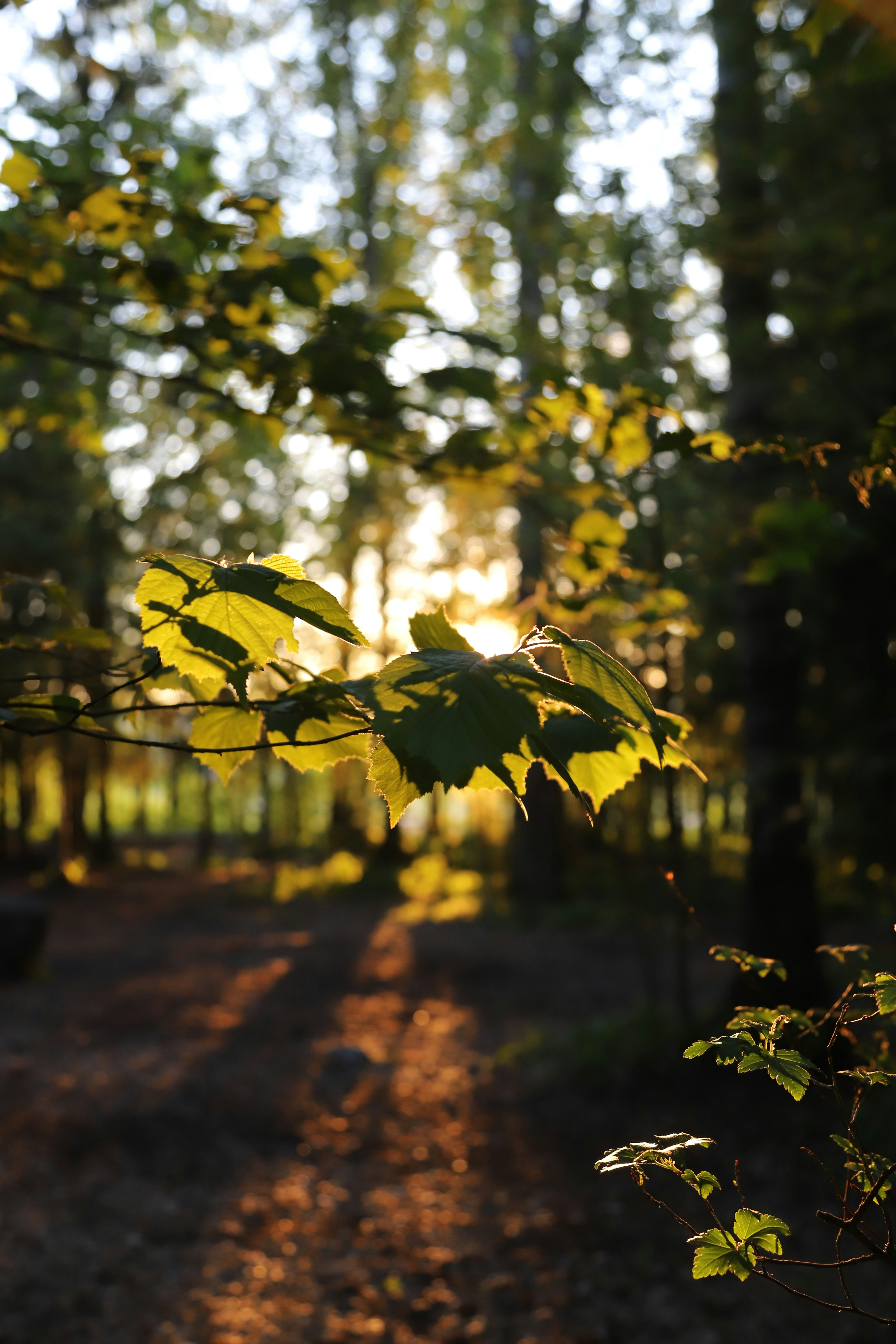 Photo by outimarjaana