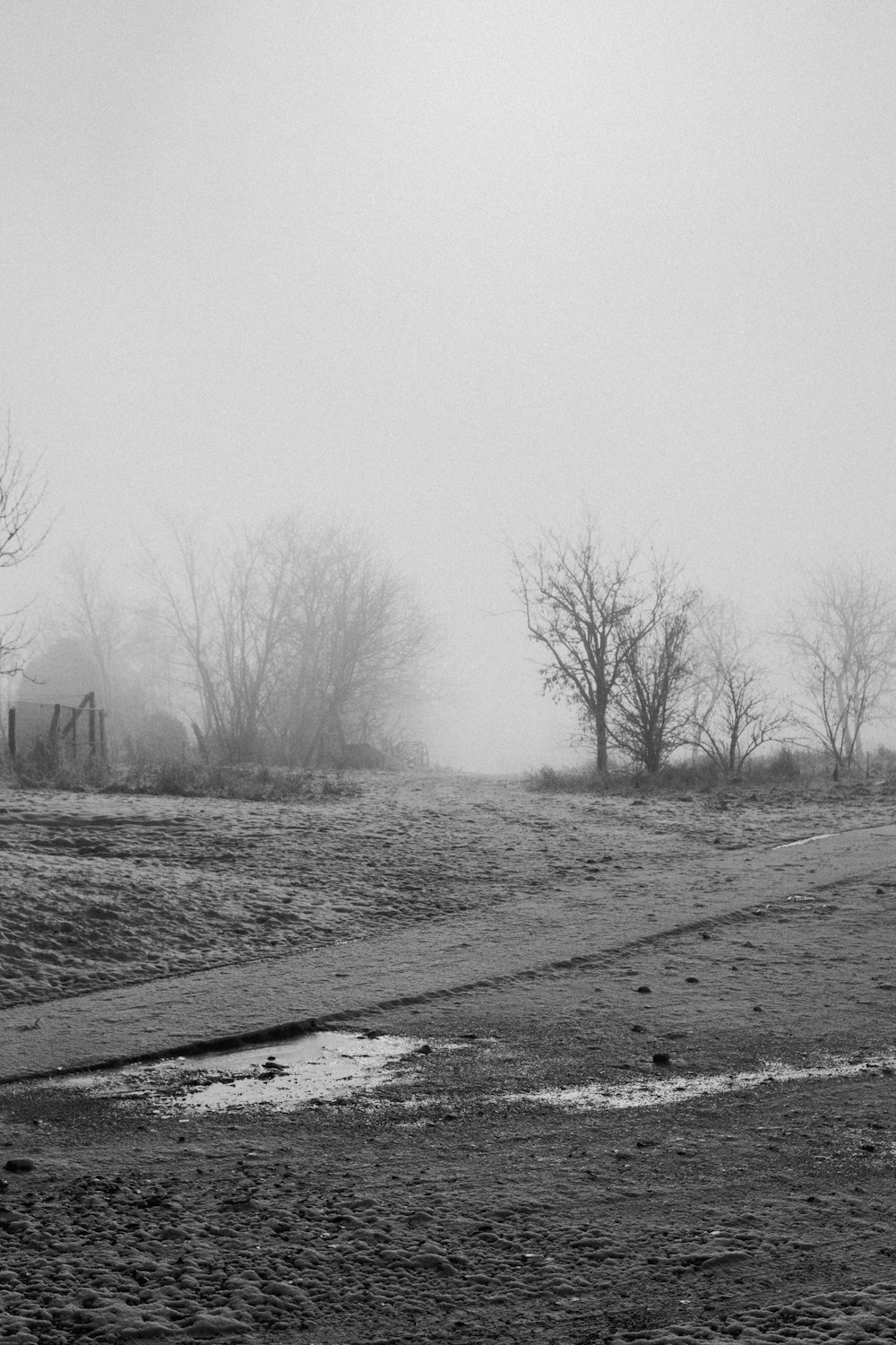 a black and white photo of a field with trees in the background