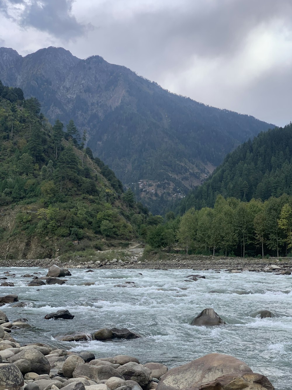 a river running through a lush green forest