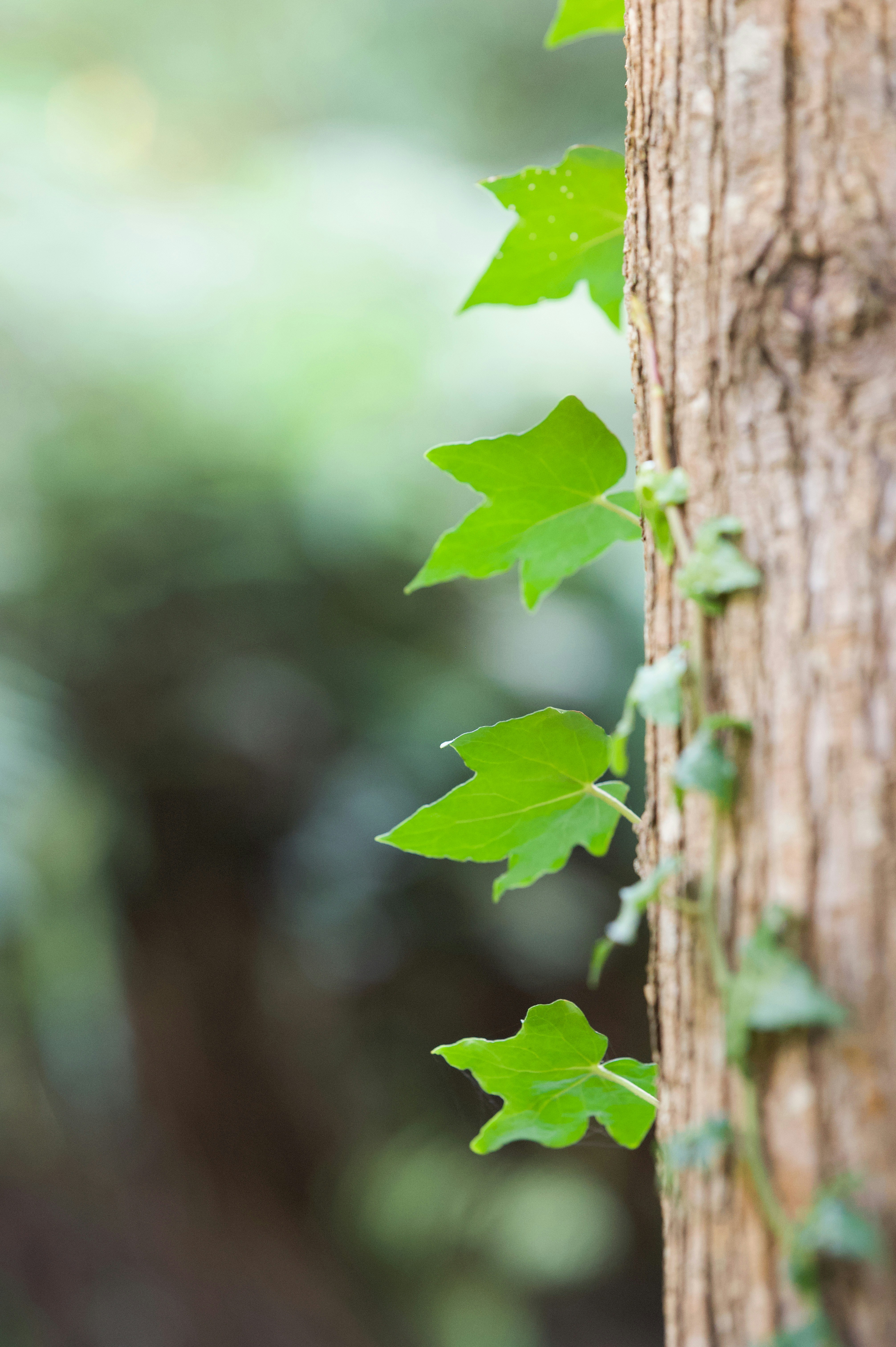 Photo by lisaritchie