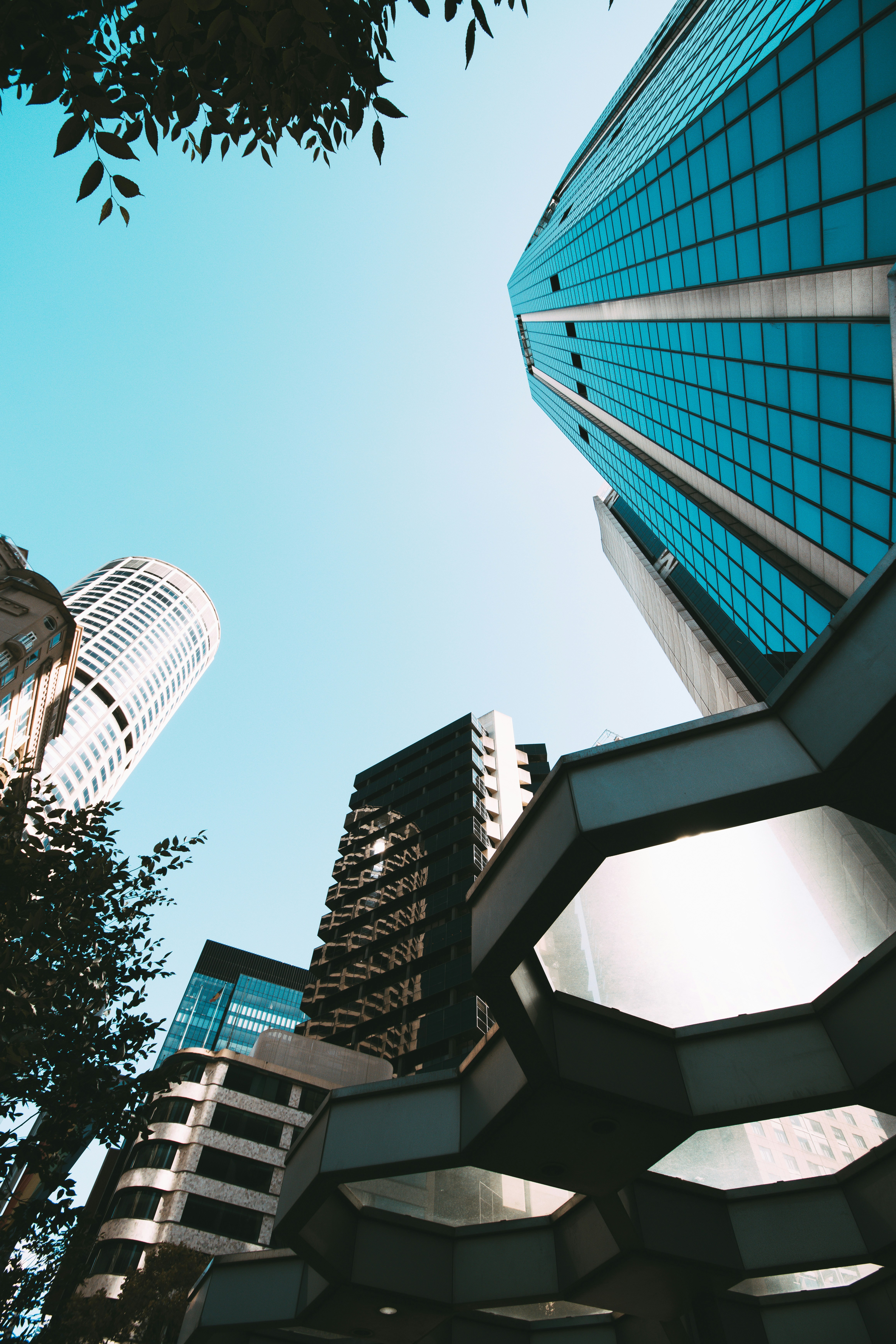 Photo by dynamite_luke