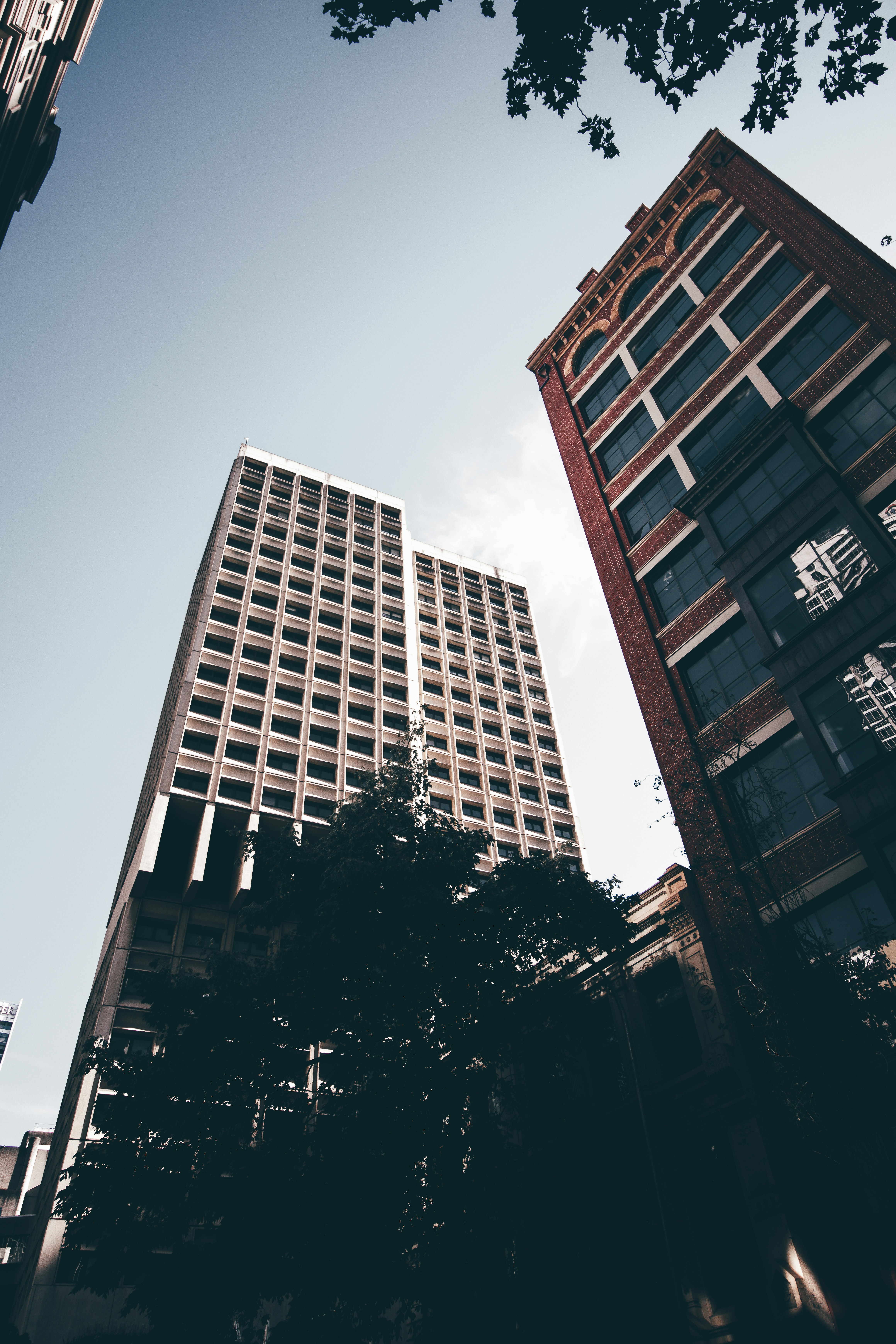 Photo by dynamite_luke