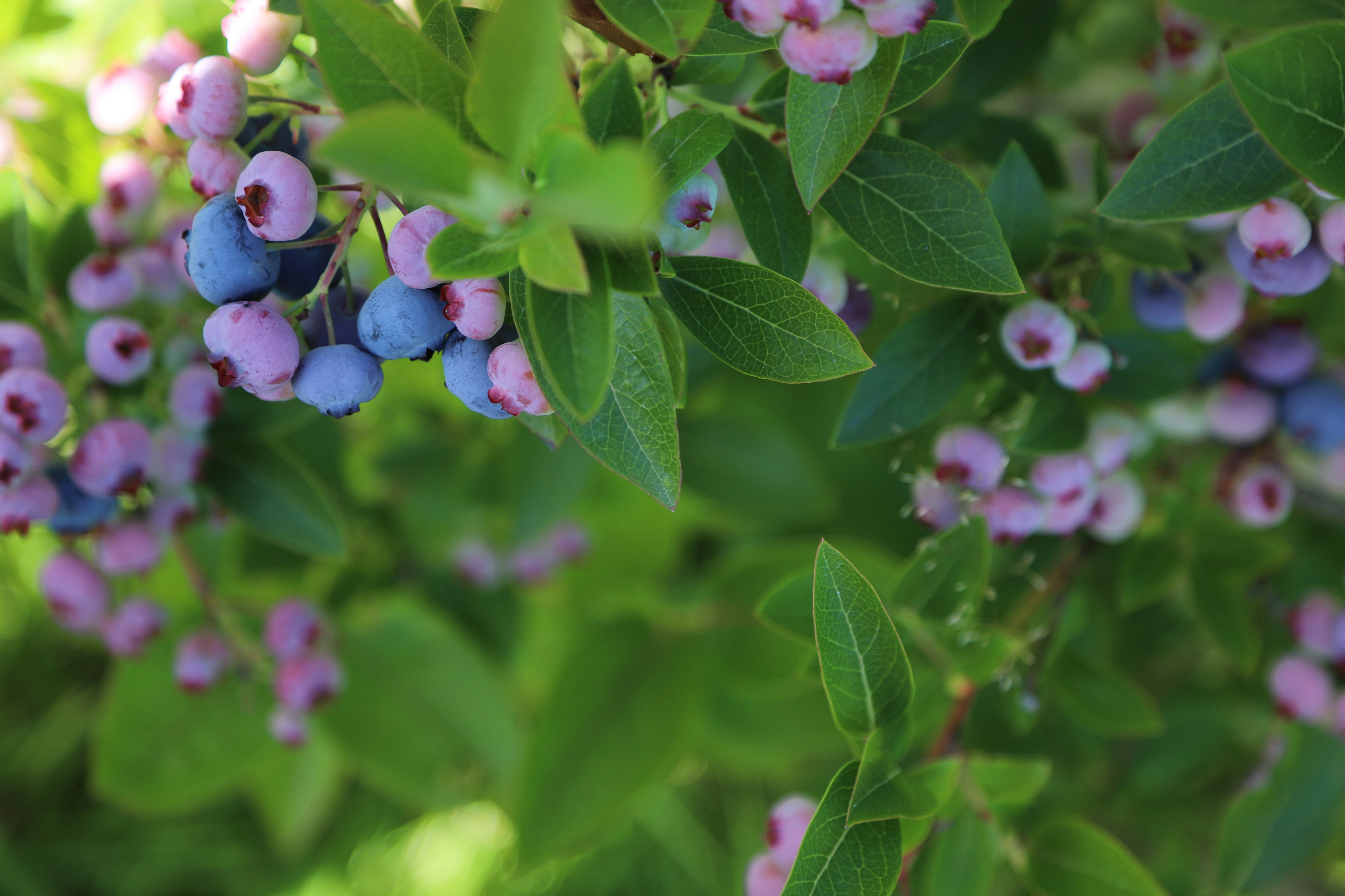 Photo by outimarjaana