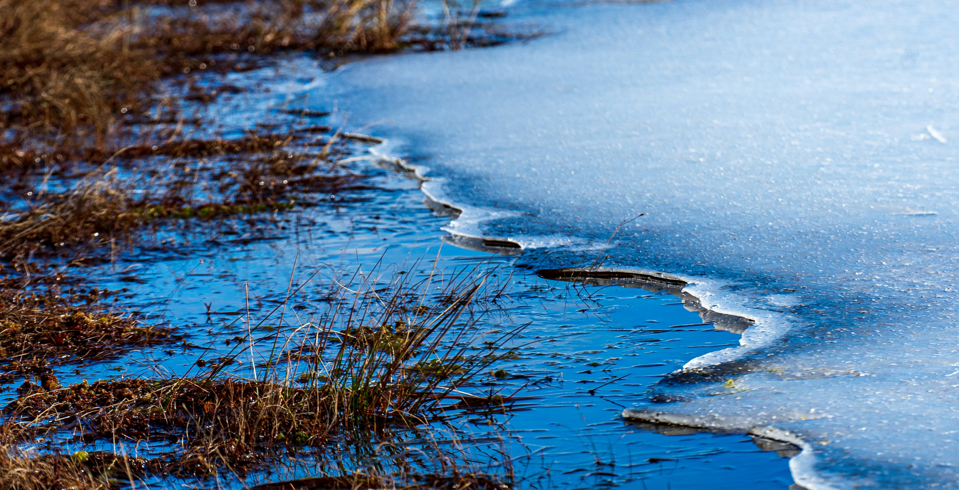 Photo by sergejs_horoshman