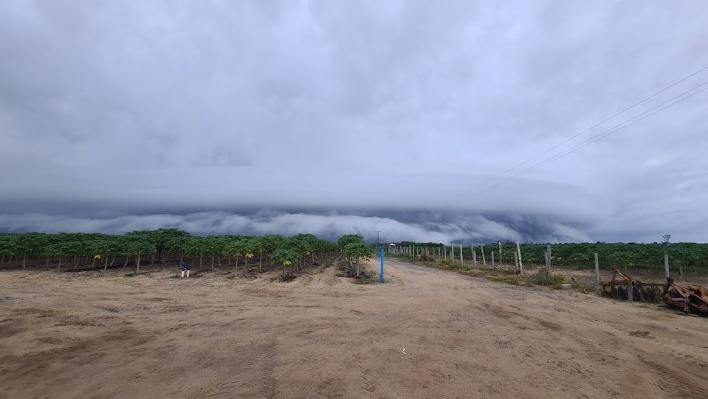 a dirt road surrounded by trees under a cloudy sky