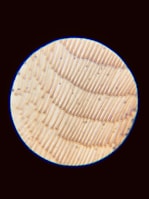 a close up of a circular object on a black background