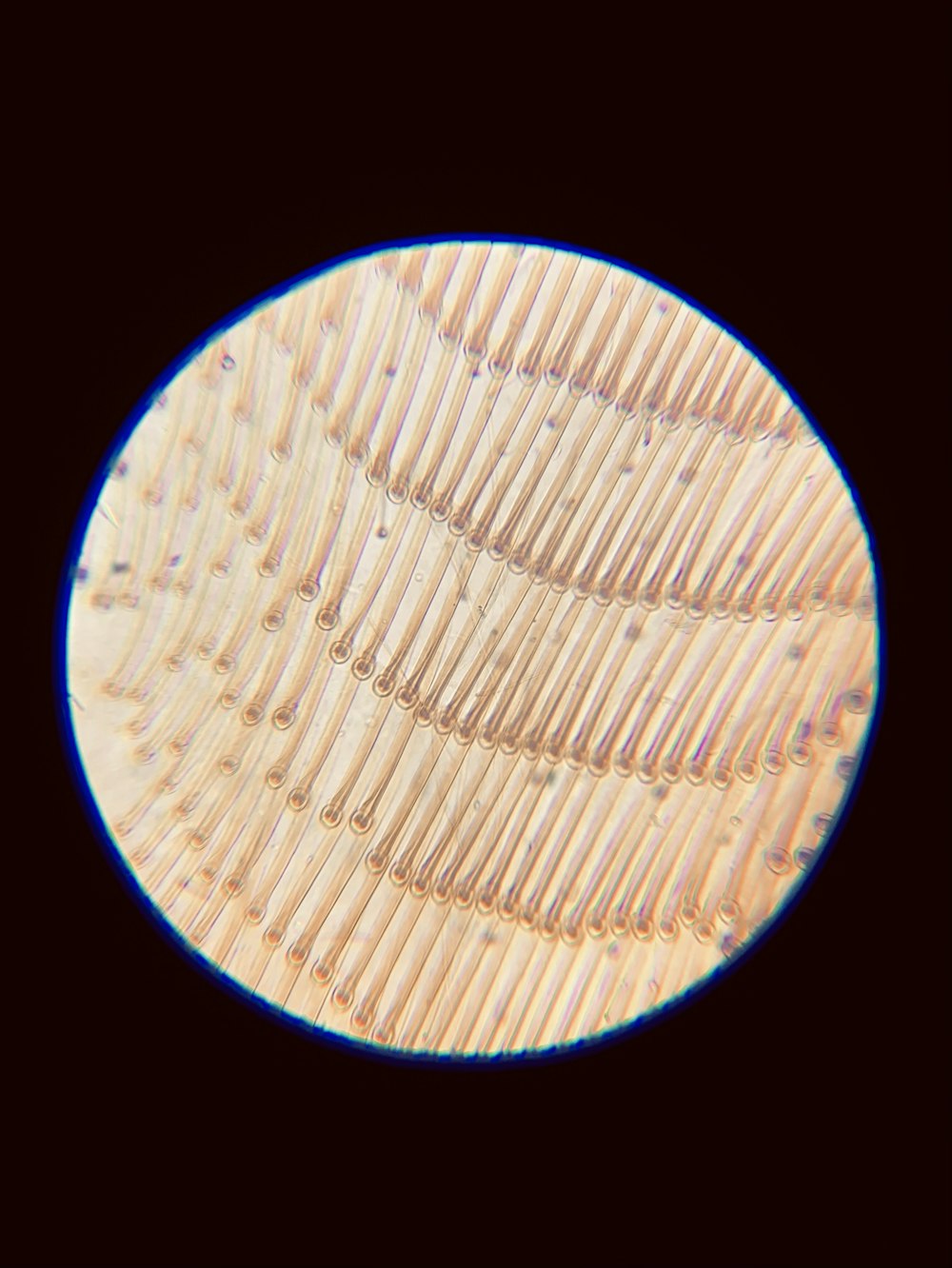 a close up of a circular object on a black background