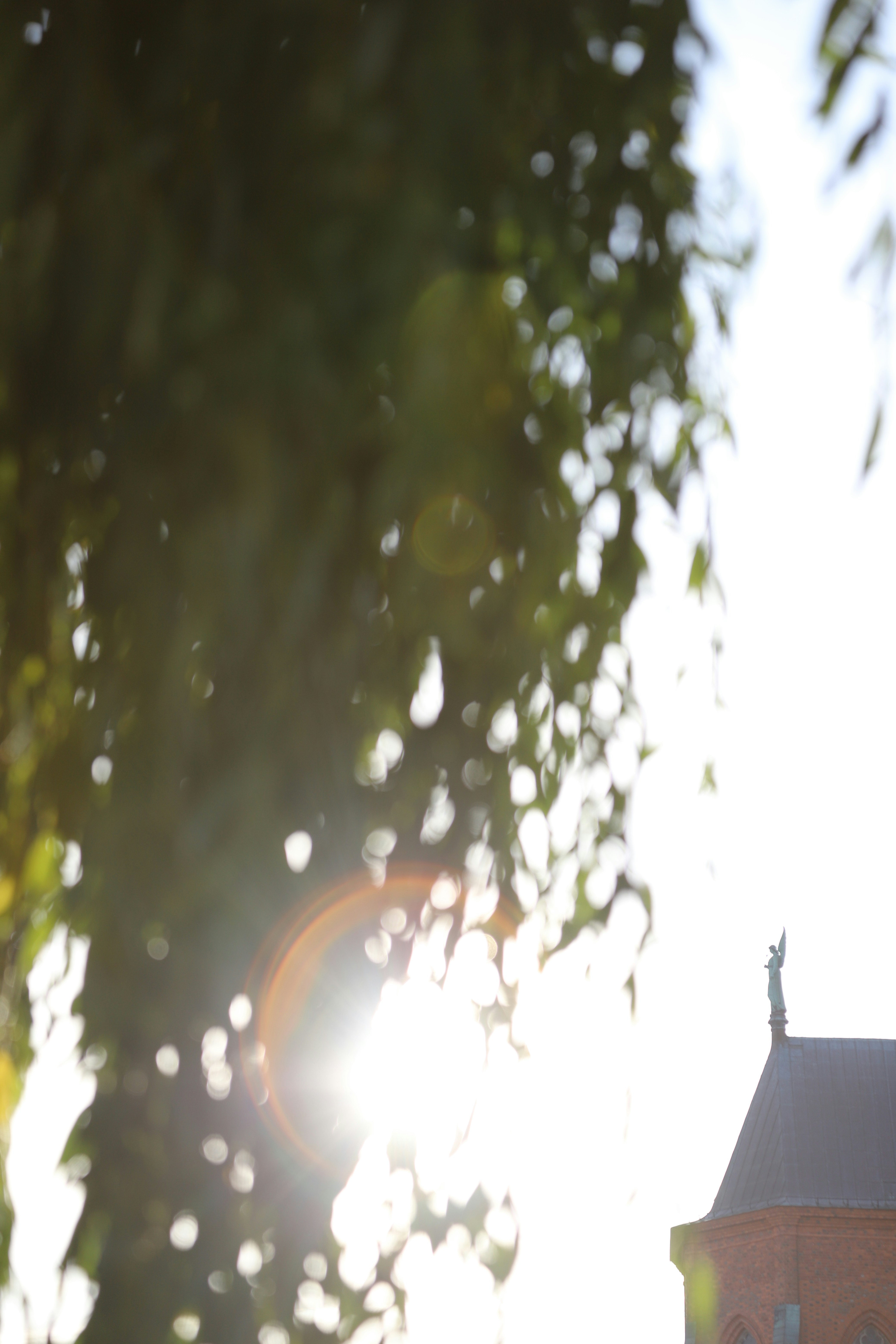 Photo by outimarjaana