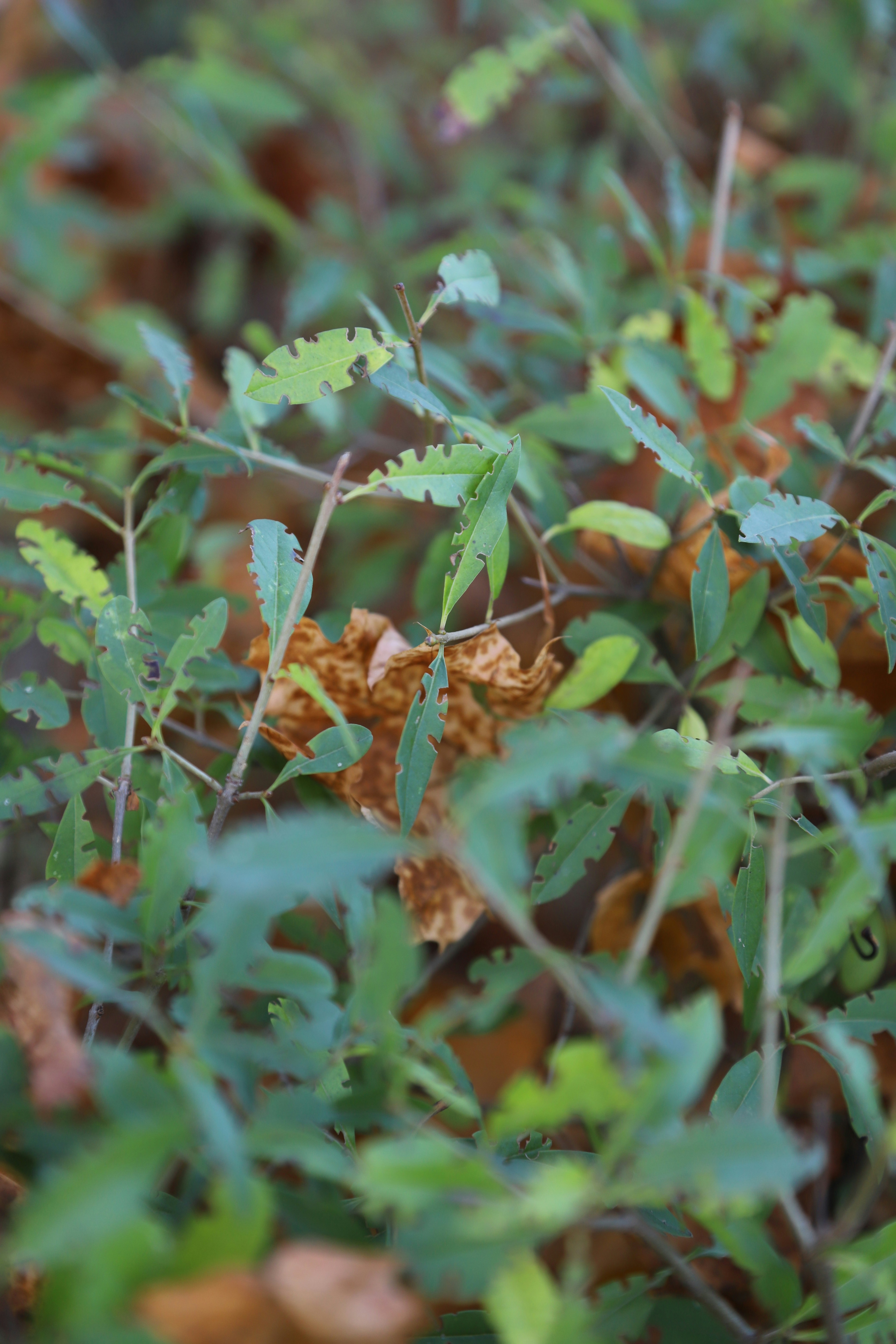 Photo by outimarjaana