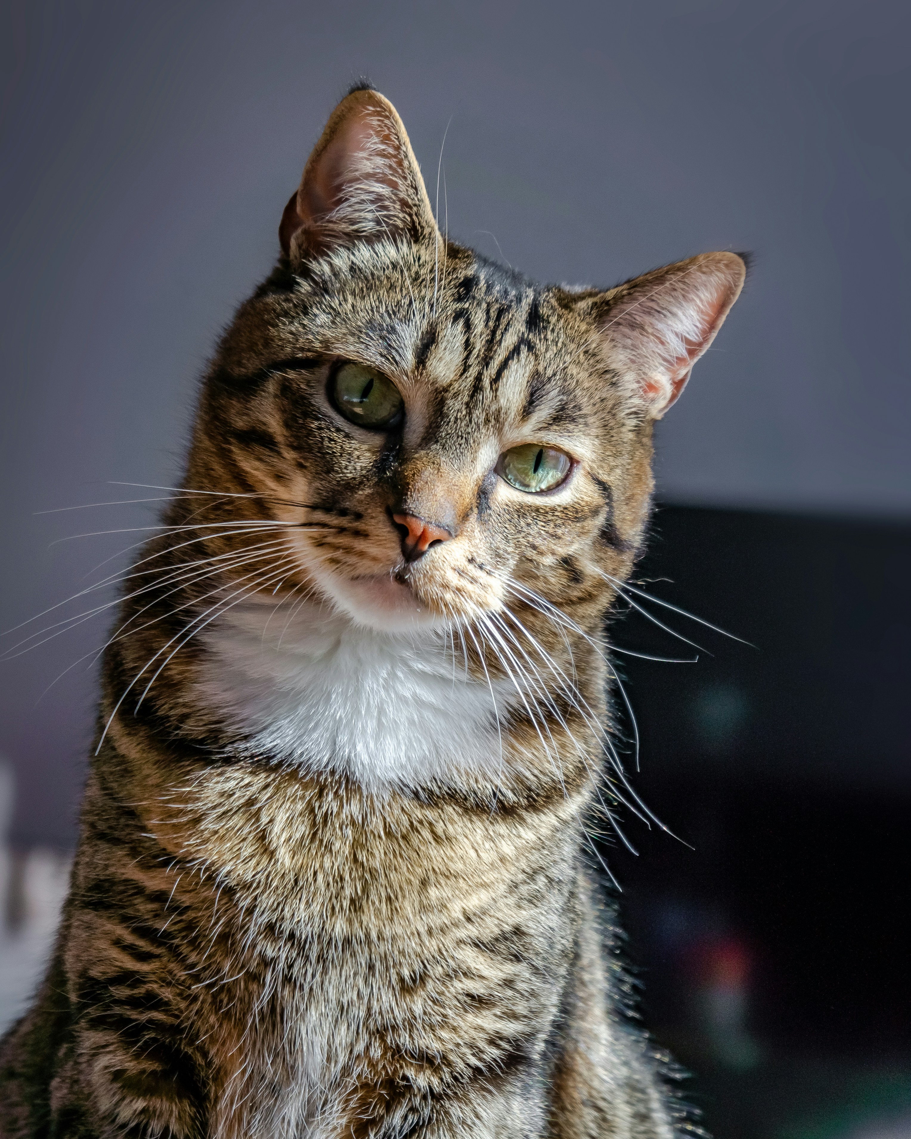 Photo by mateuszwysocki25