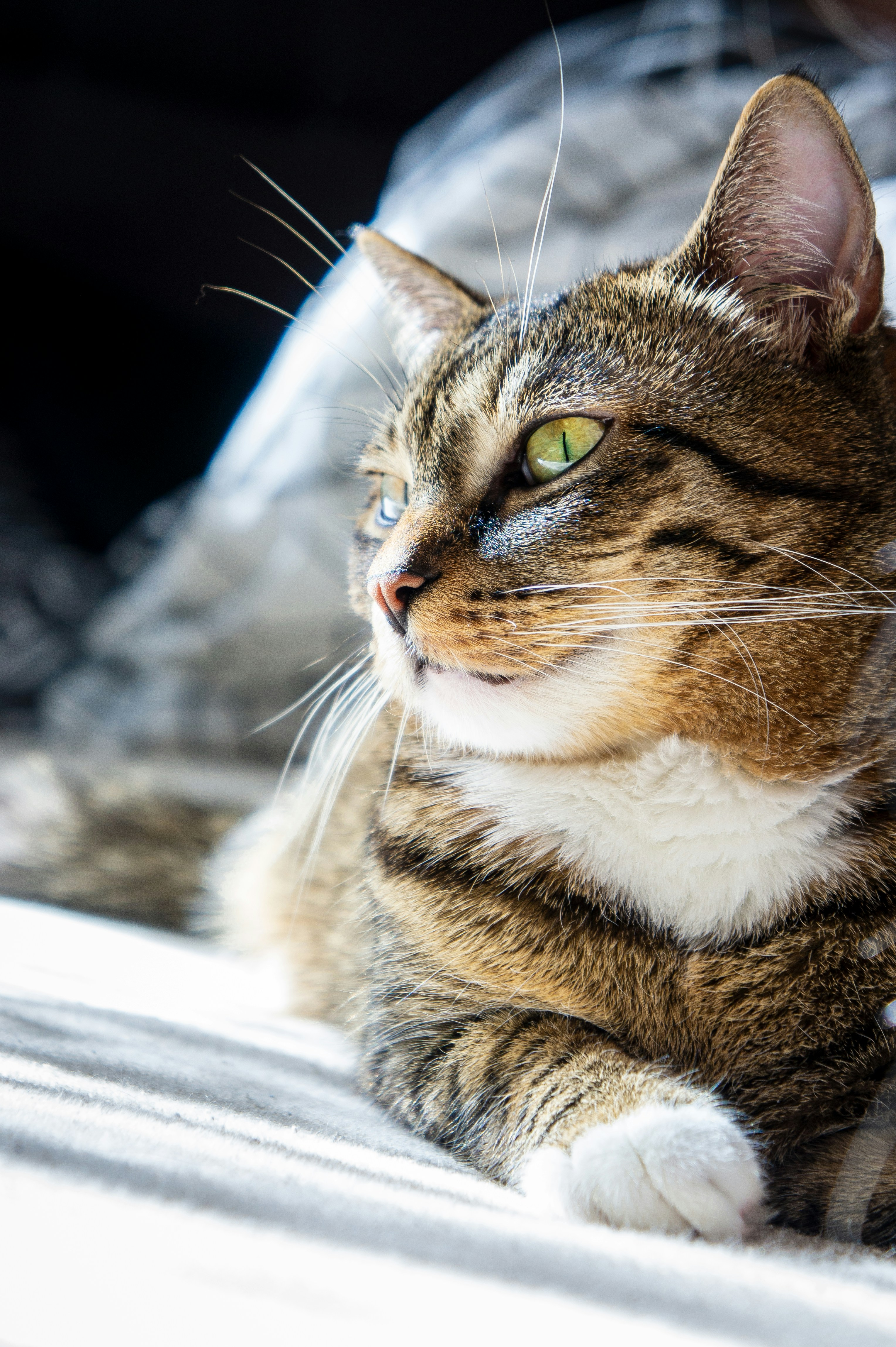 Photo by mateuszwysocki25