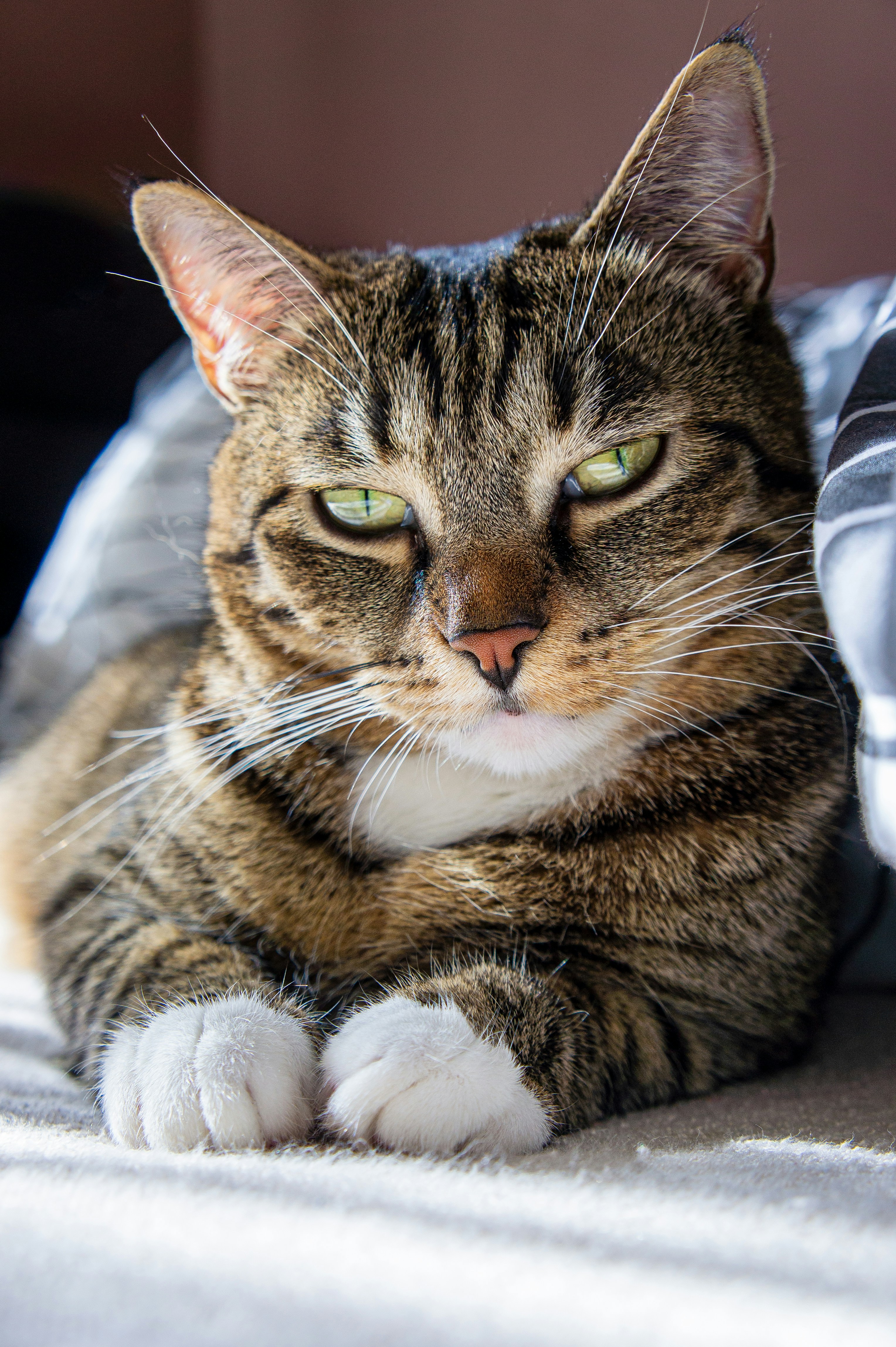 Photo by mateuszwysocki25