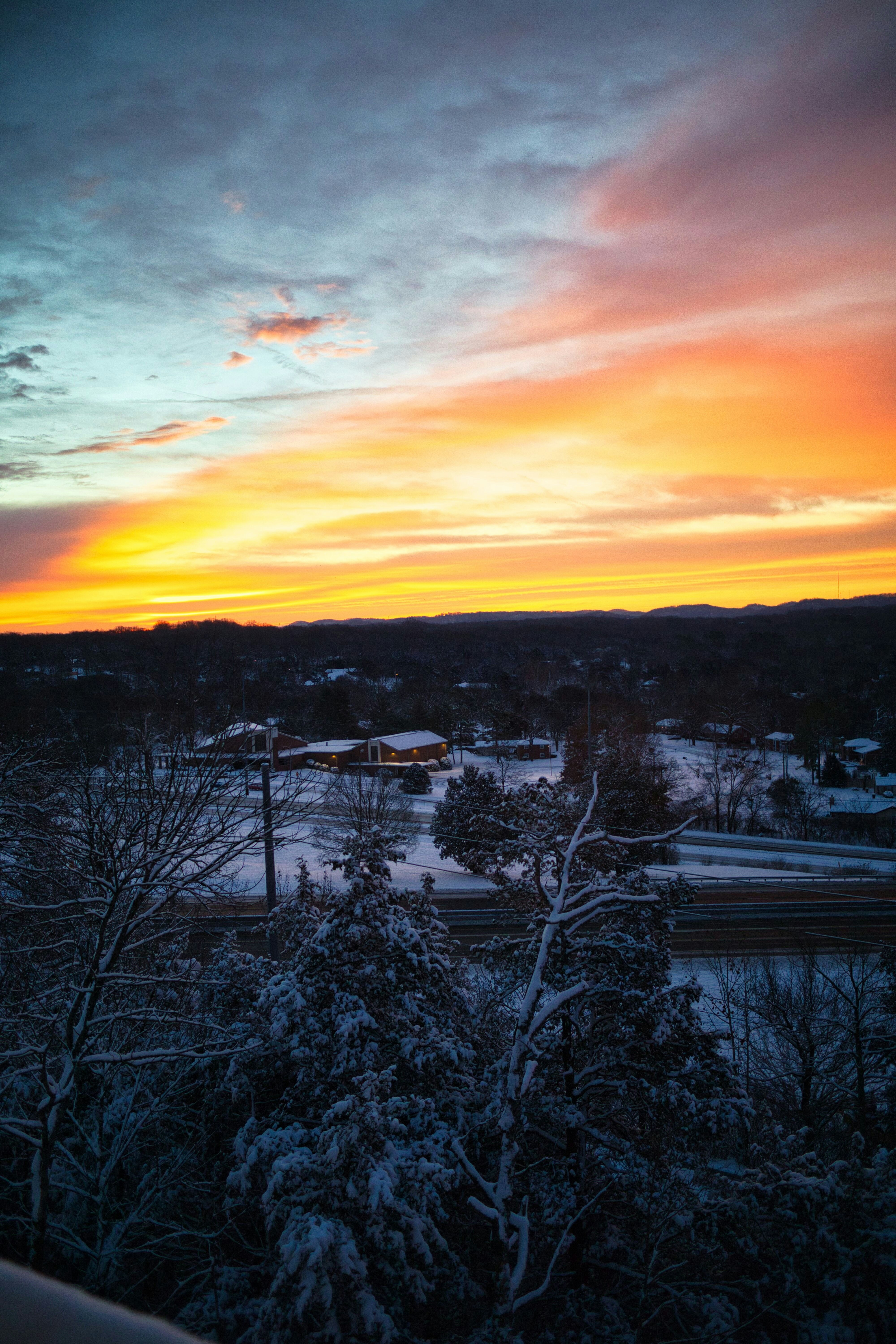 Photo by shanehoving