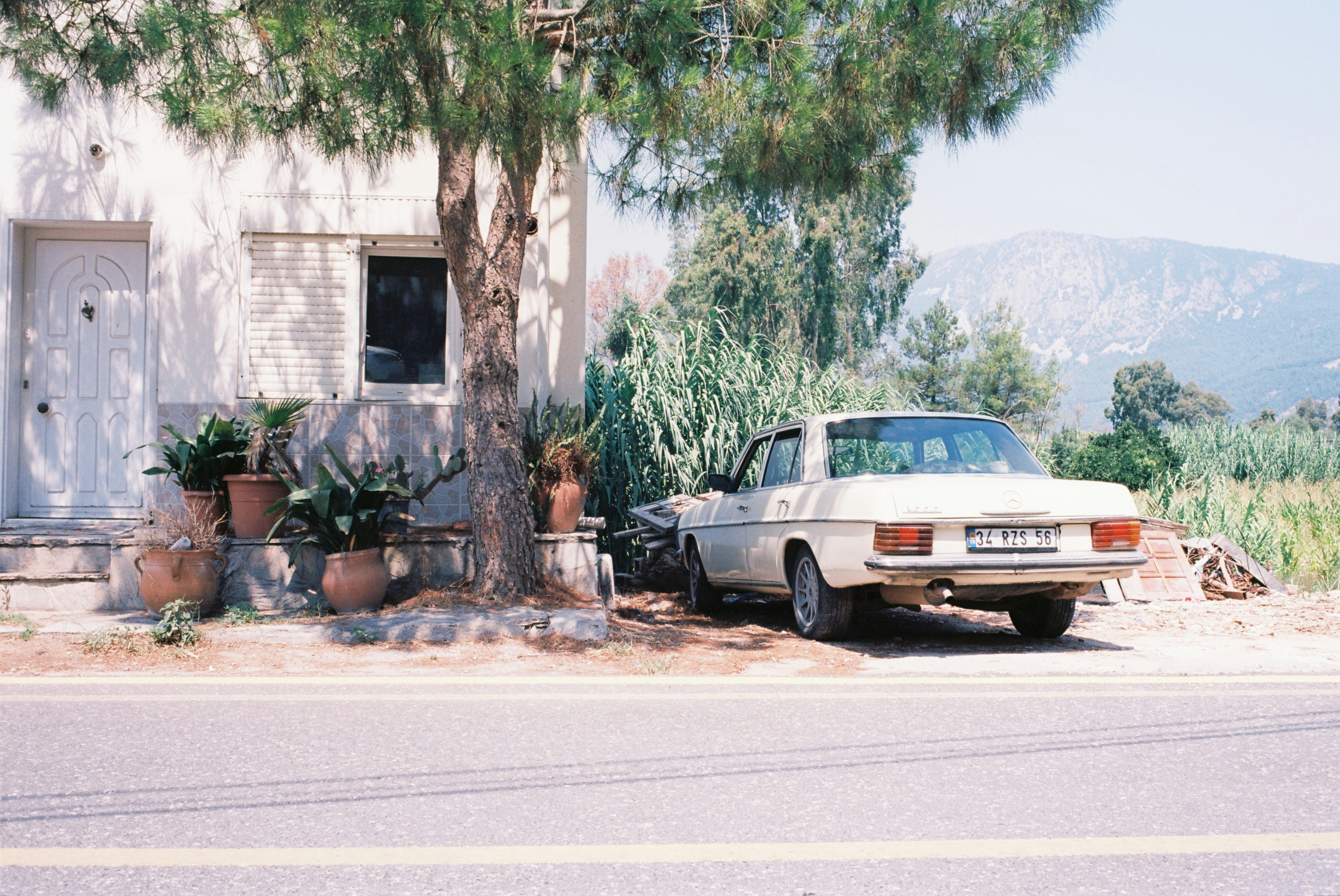 a car parked next to a tree on the side of a road