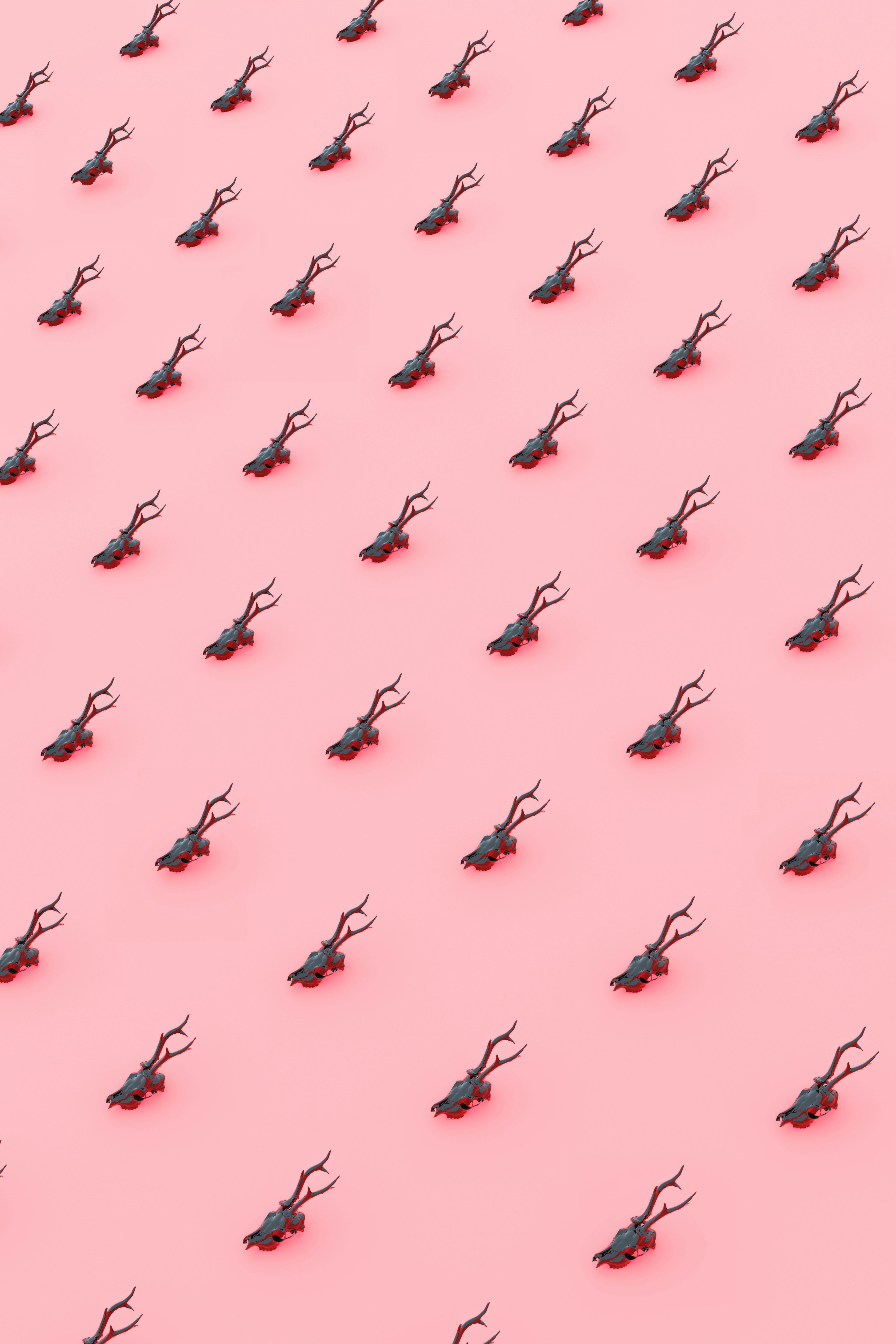 Photo by marekpiwnicki