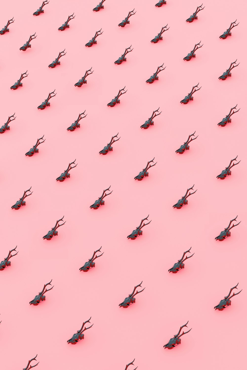 um grande grupo de tesouras em um fundo cor-de-rosa