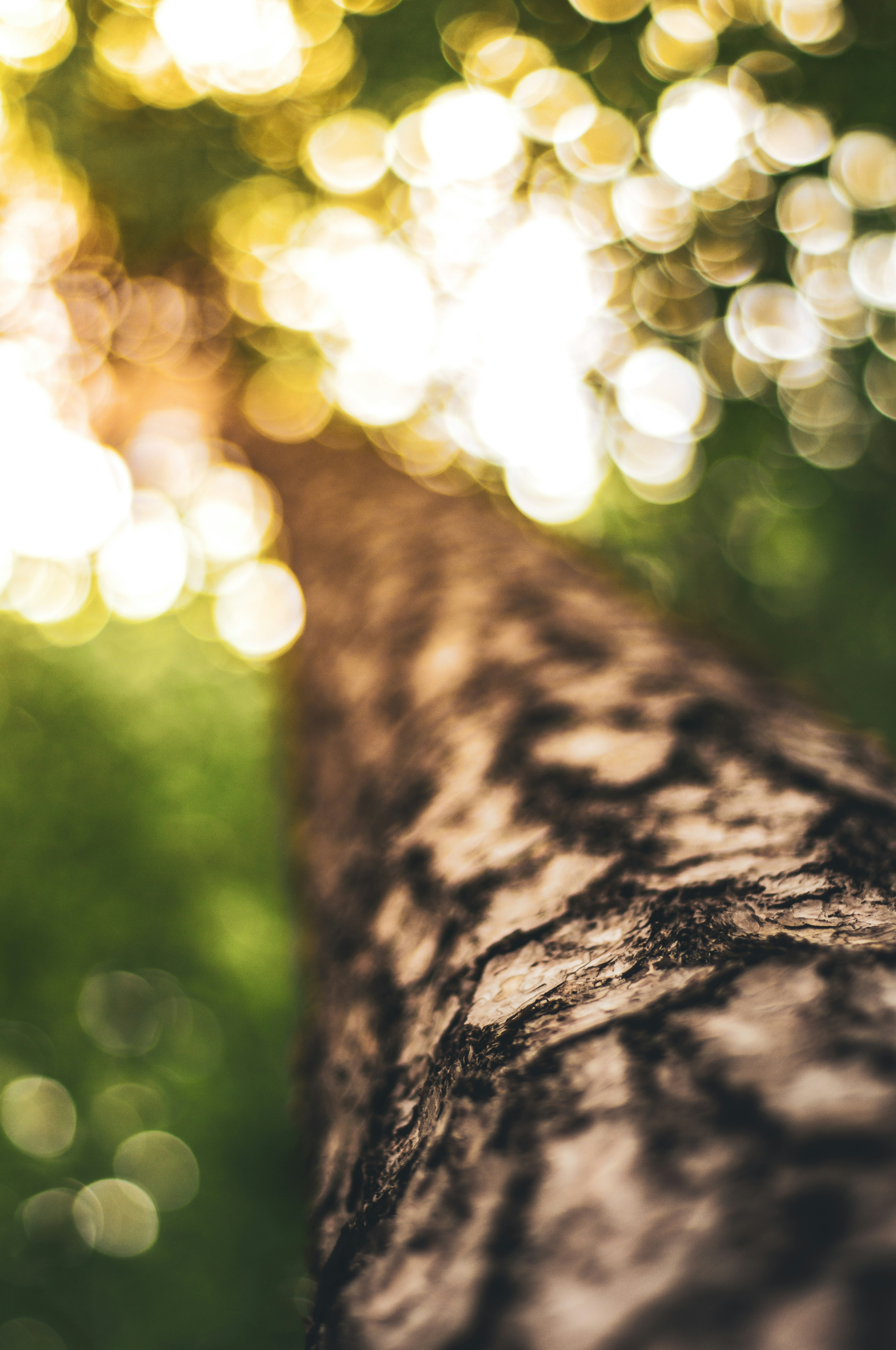 Photo by marekpiwnicki