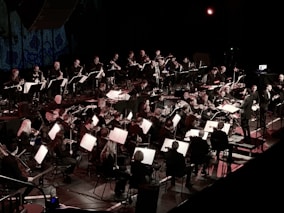 a large orchestra with lots of musical instruments