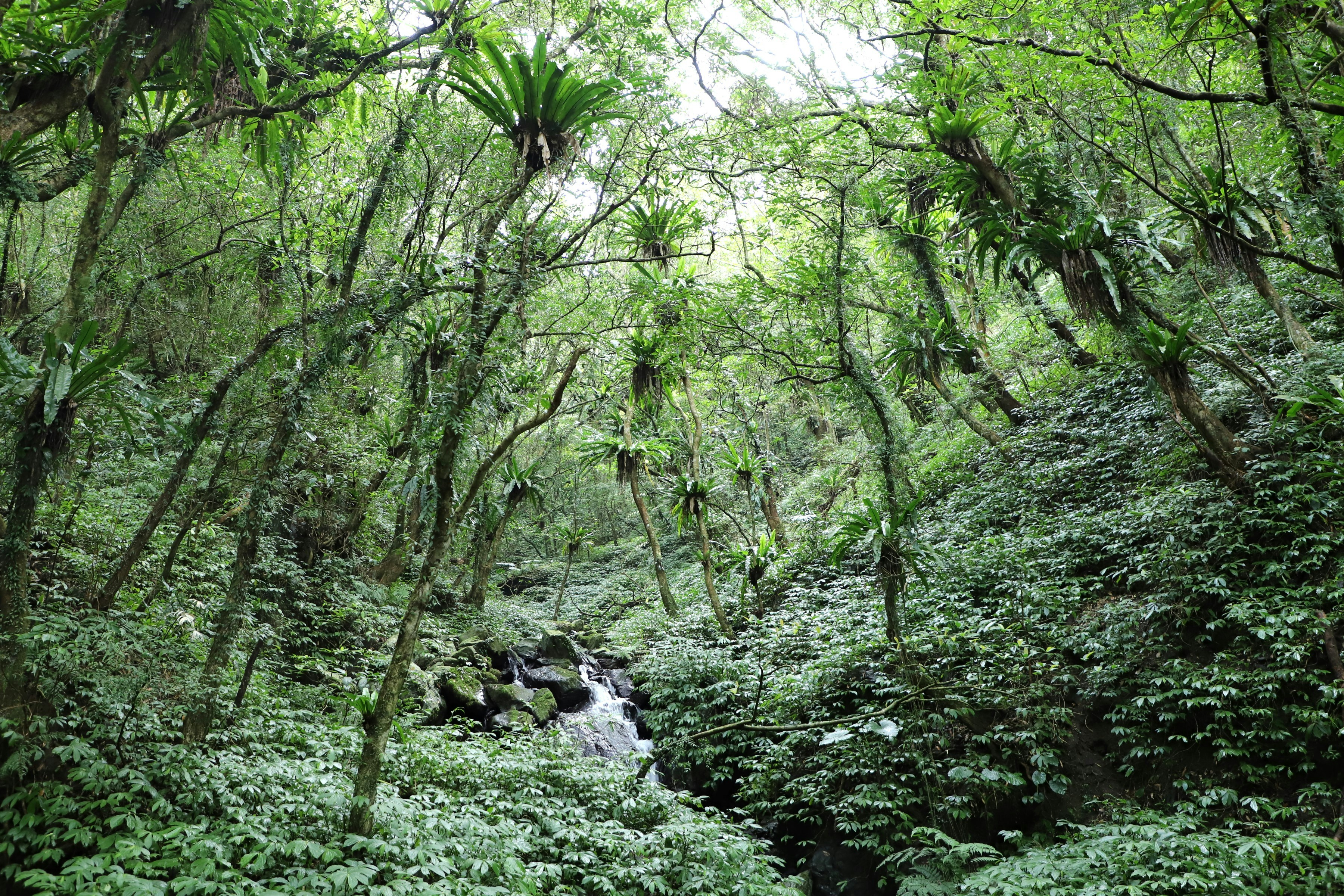 Photo by small_robert