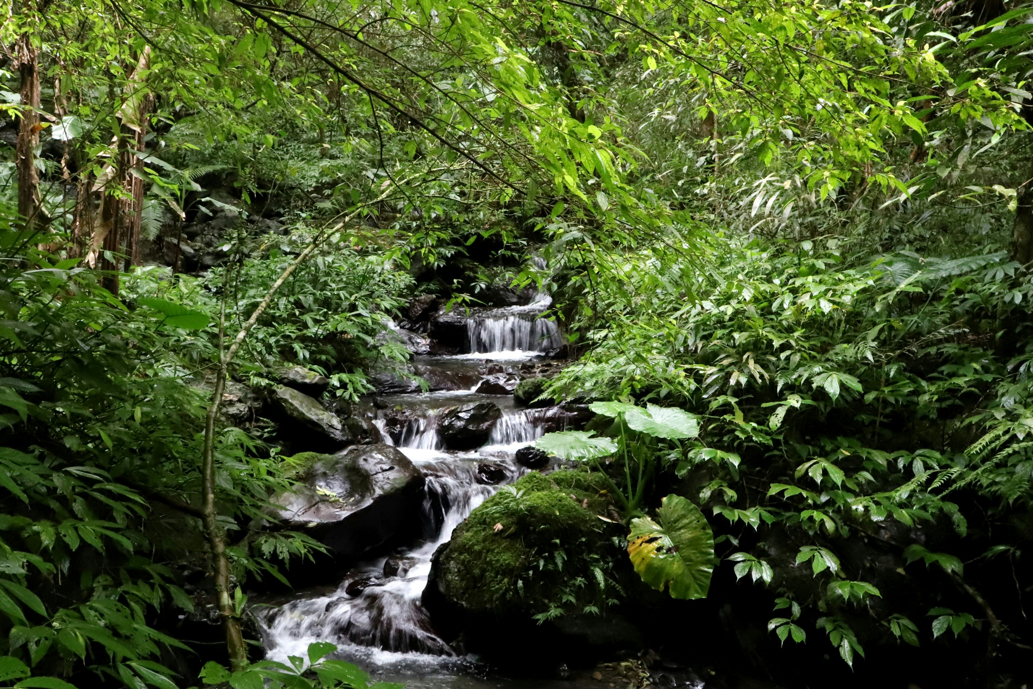 Photo by small_robert