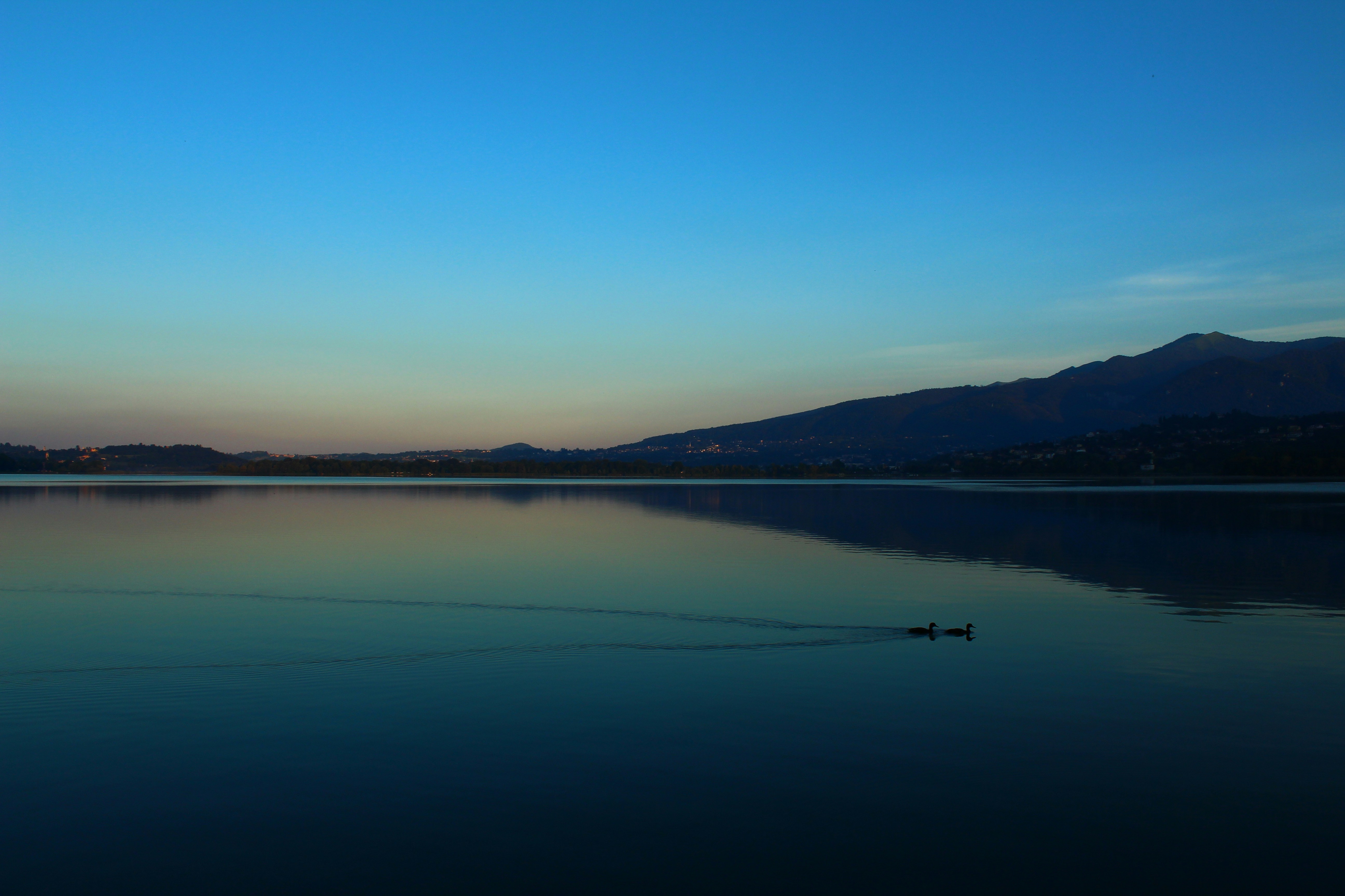 Photo by enricofumagalli