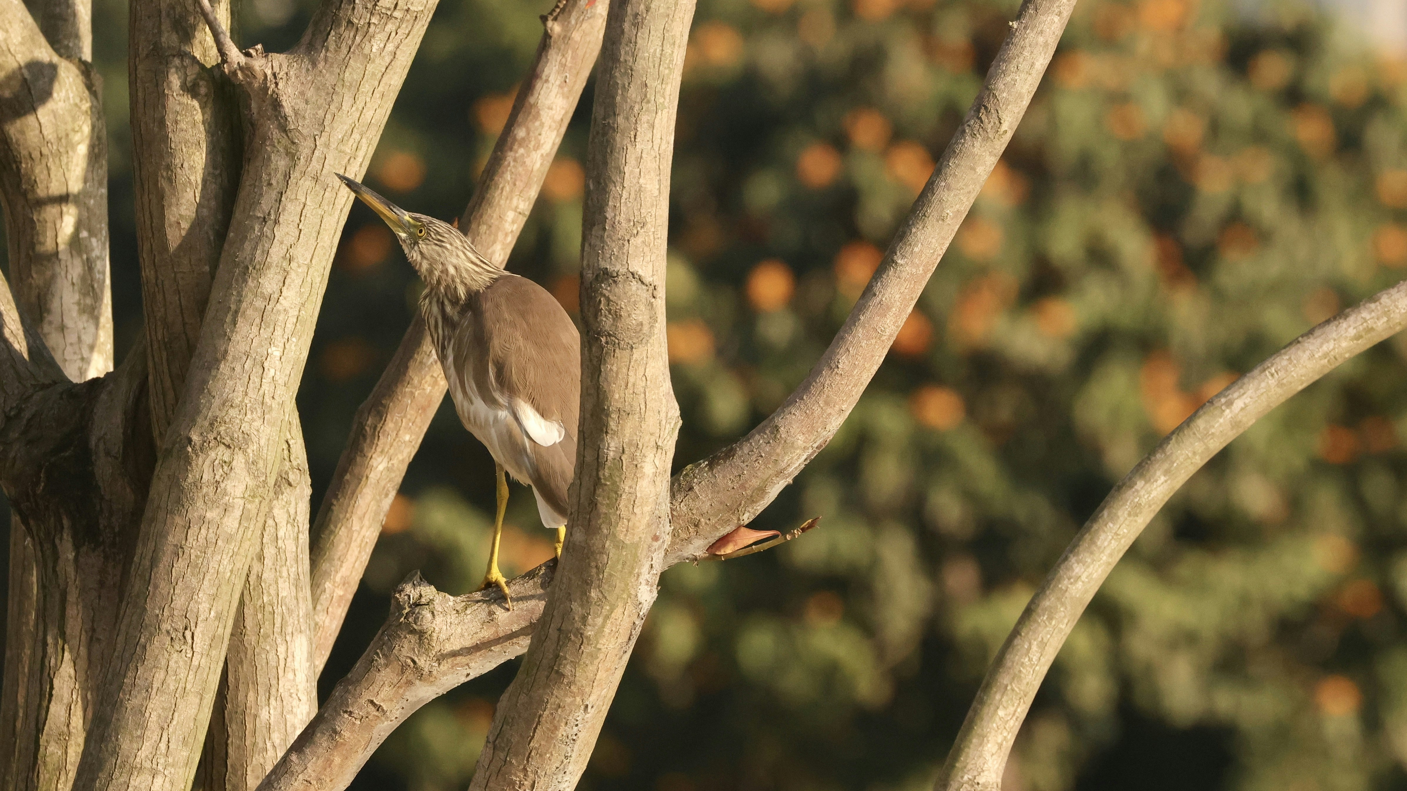 Photo by dickenslin76