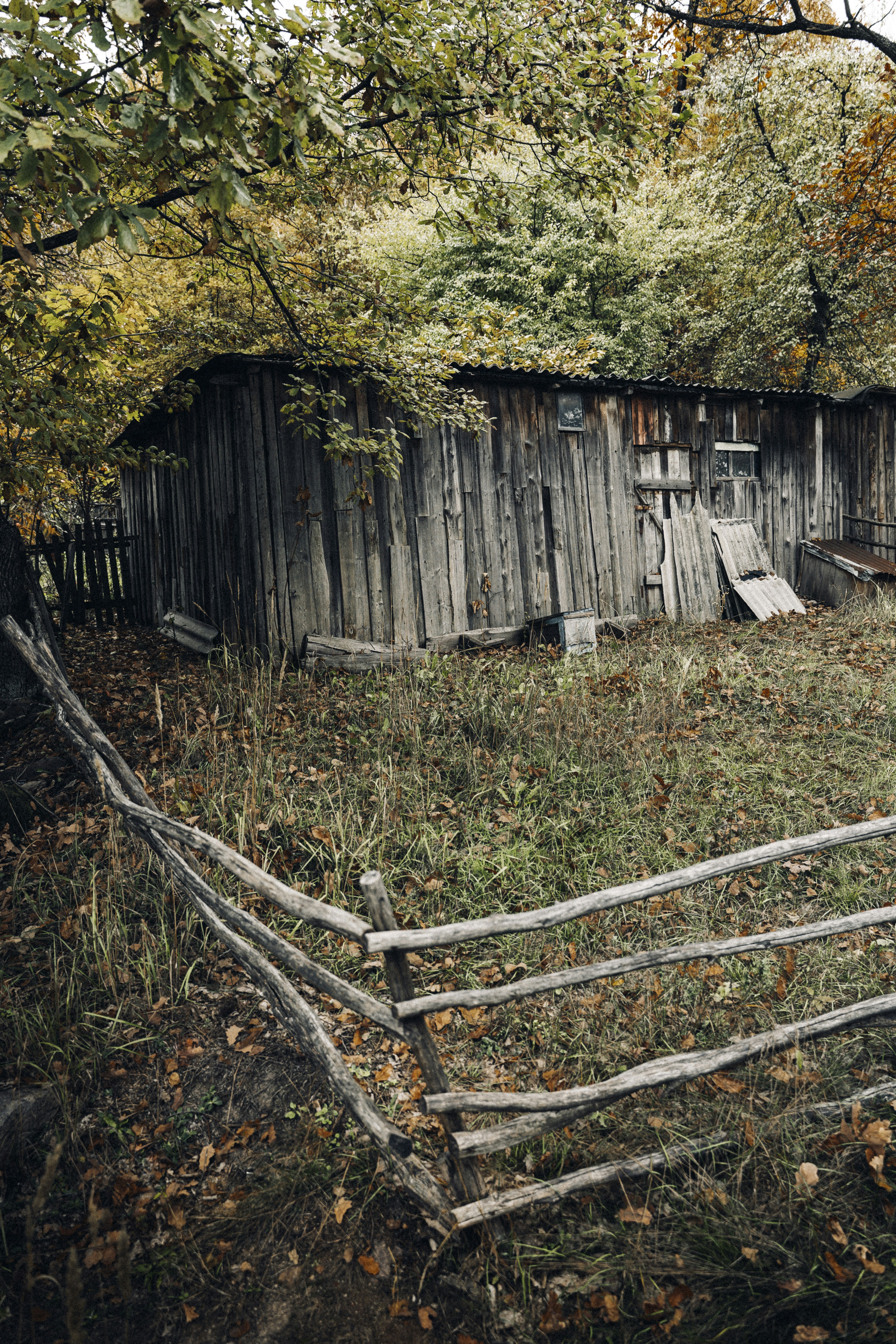 Photo by maksym_tymchyk