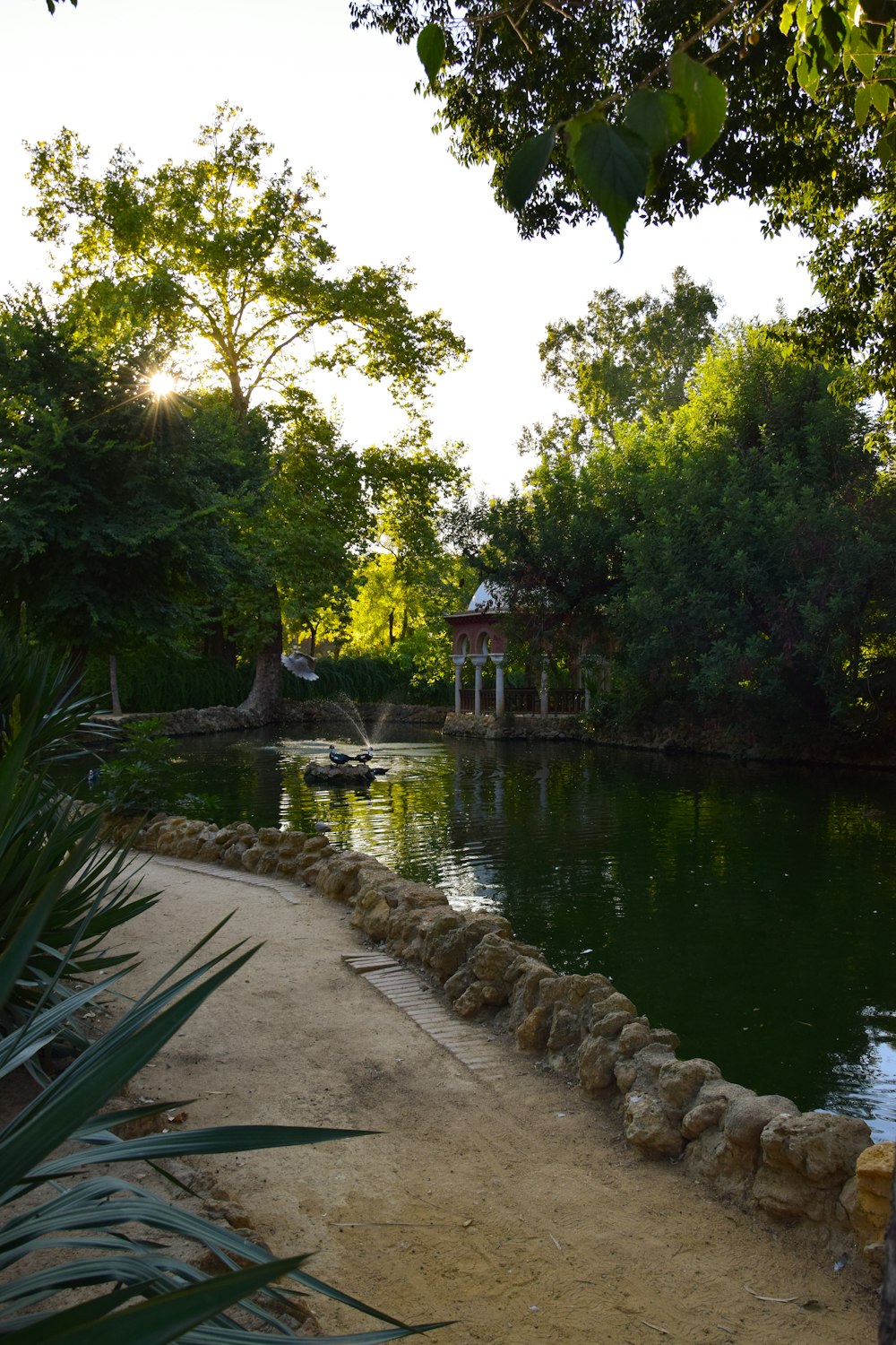 a path leading to a pond in a park