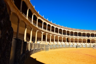 a man is standing in the middle of a large arena
