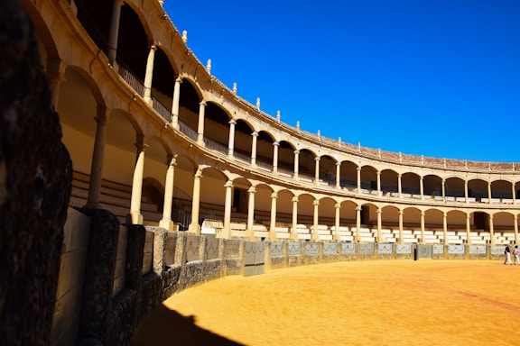 a man is standing in the middle of a large arena