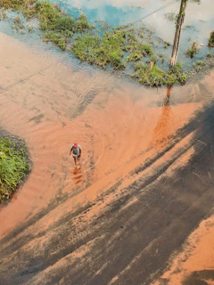 A person wearing a red cap is walking through a flooded area with muddy water. There are patches of green vegetation and trees surrounding the water. The person is walking along a path that appears to have tire tracks.