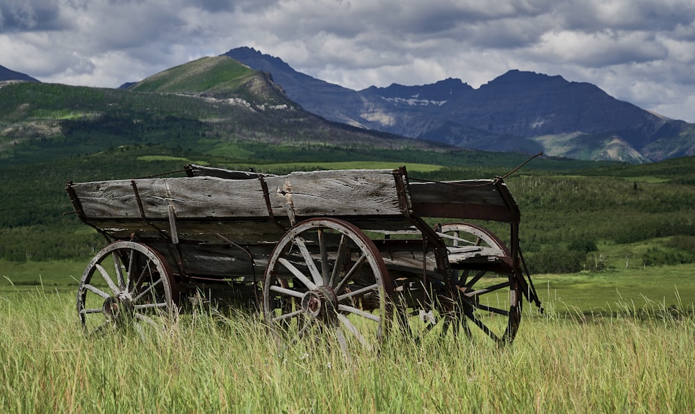 an old wooden wagon in a field with mountains in the background