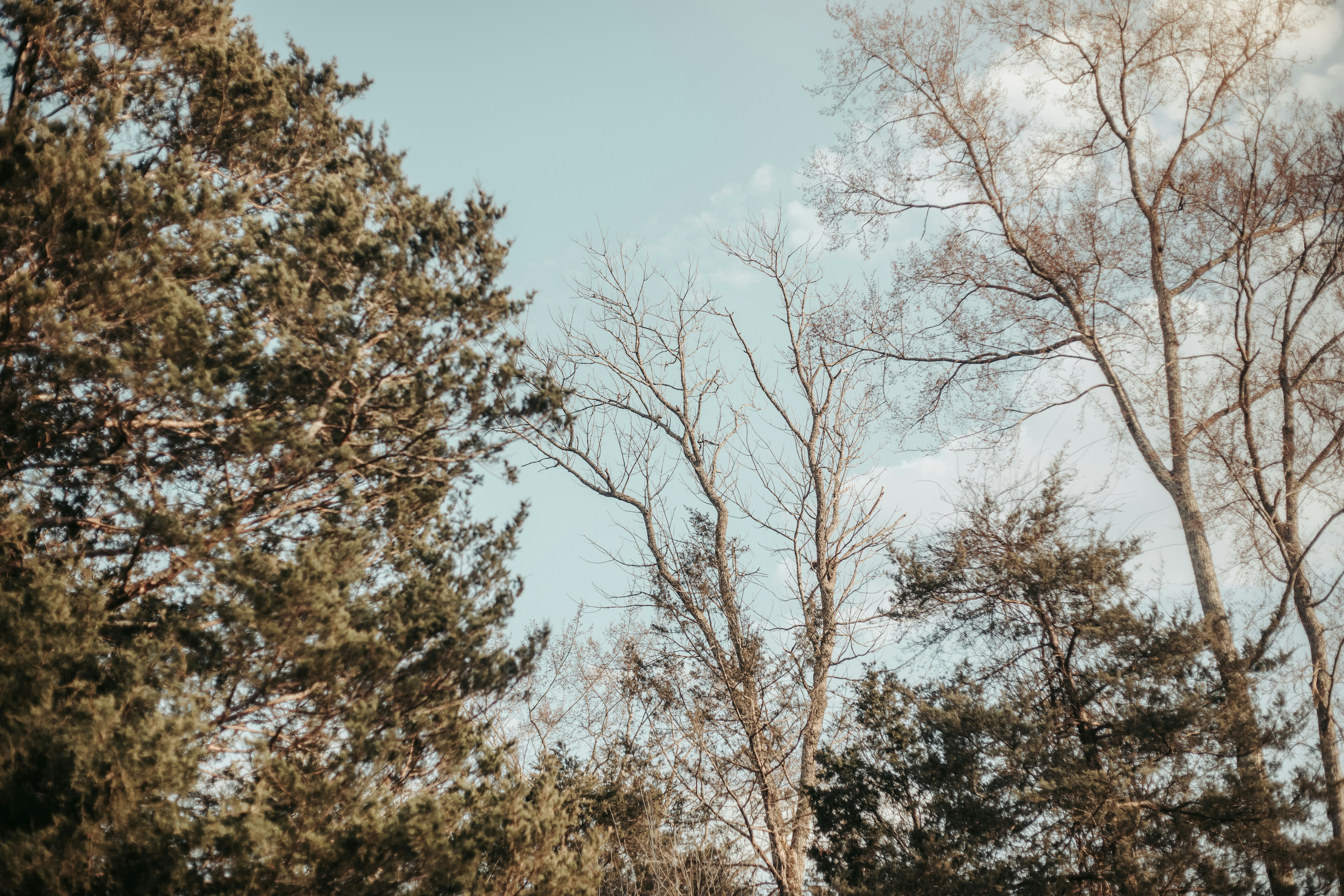 Photo by jtownsend22