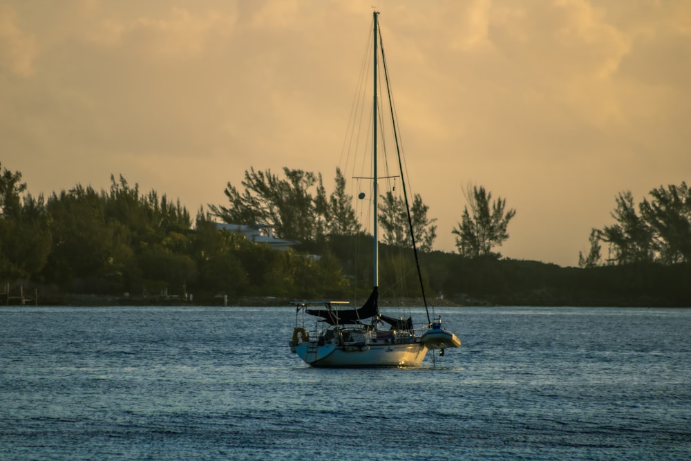 a sailboat in the water with trees in the background