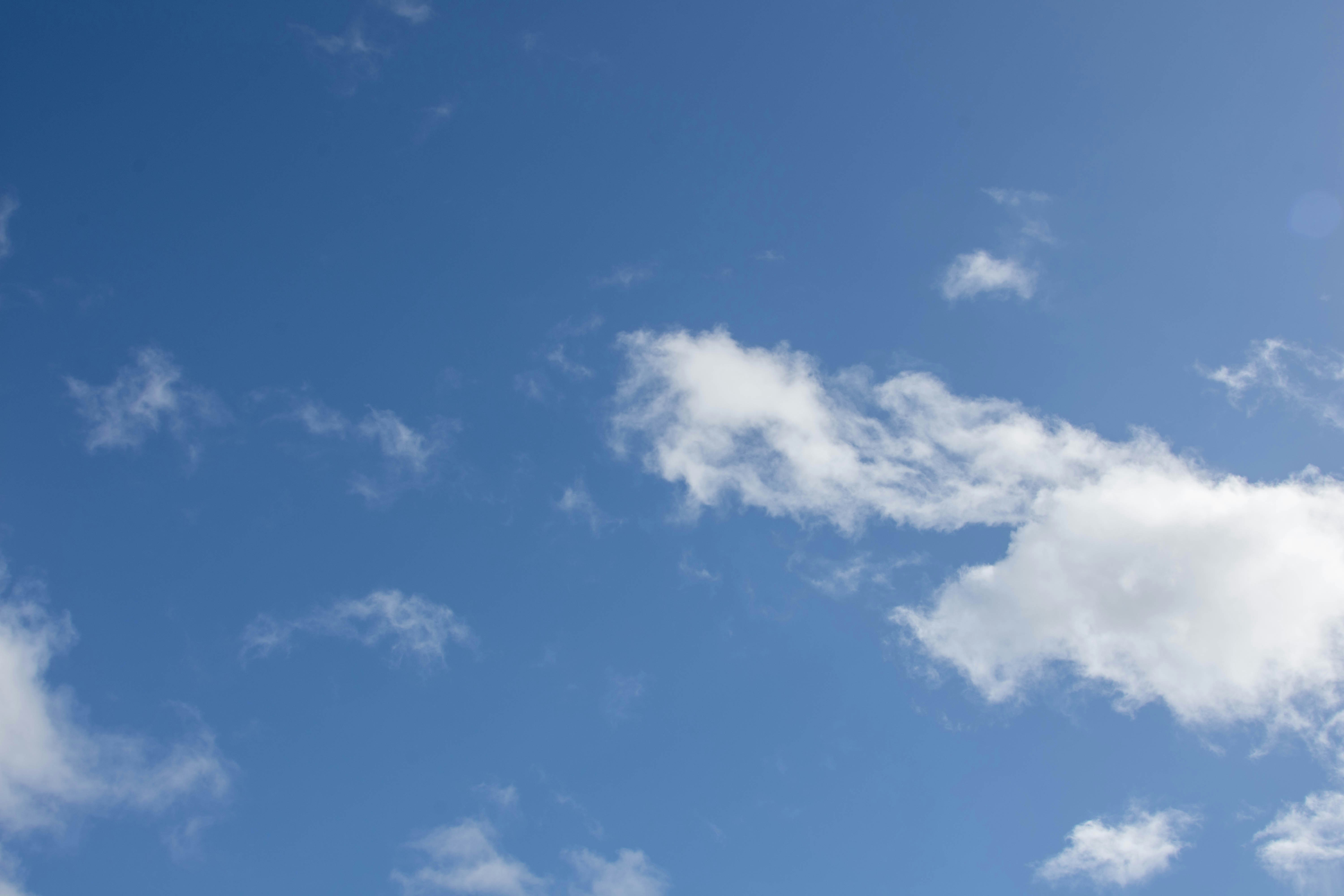 Photo by maplerockdesign