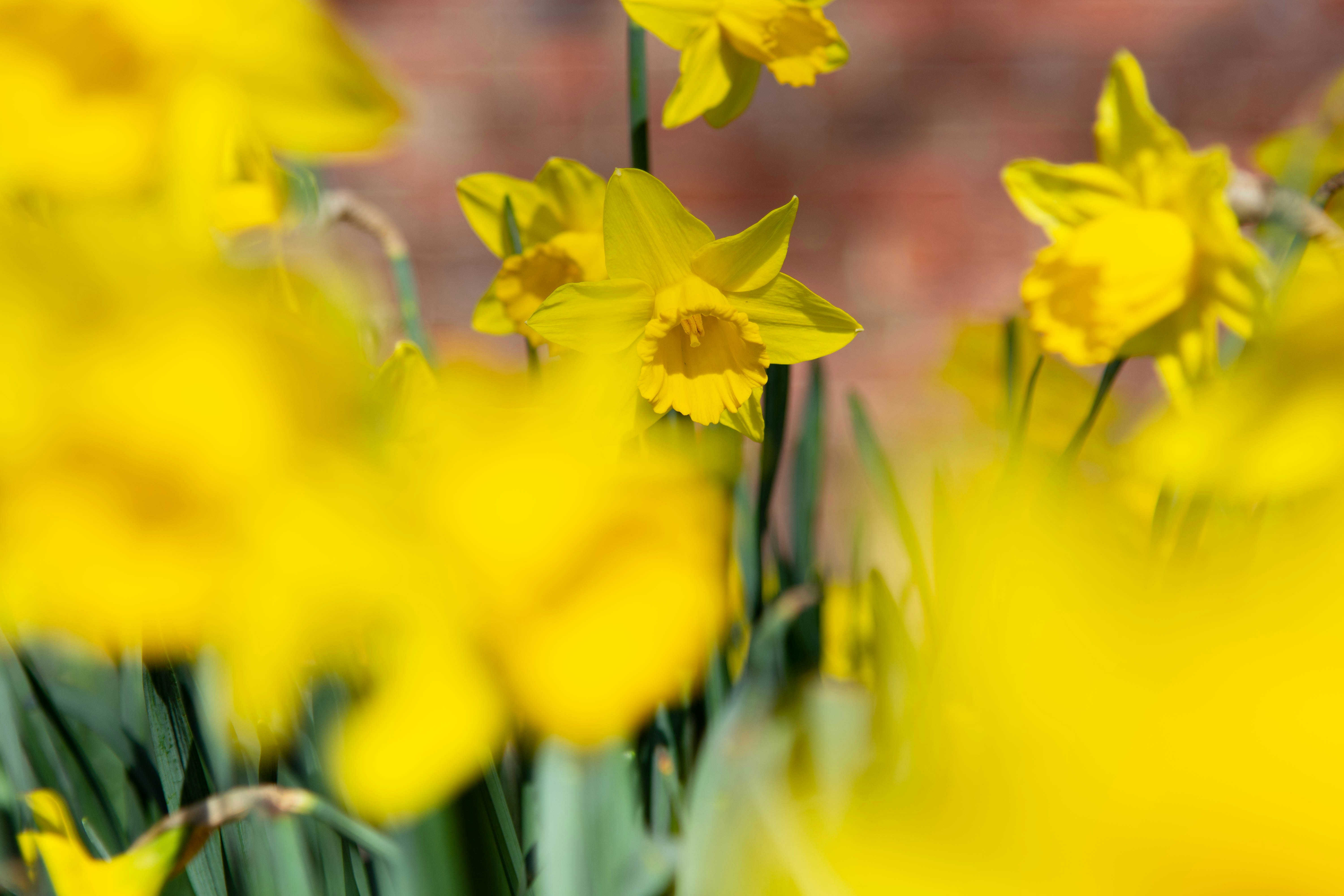 Photo by maplerockdesign